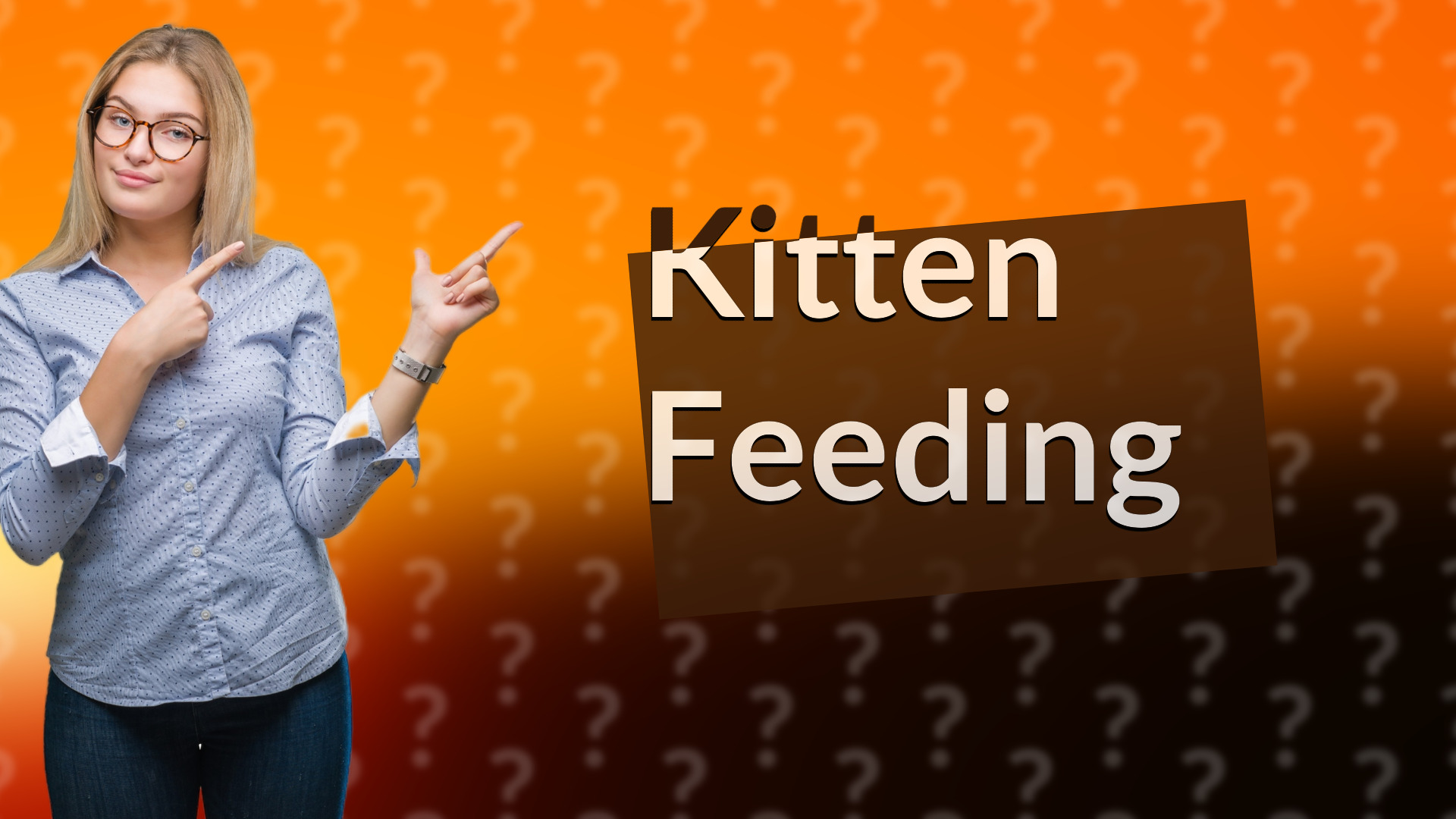 Kitten Feeding