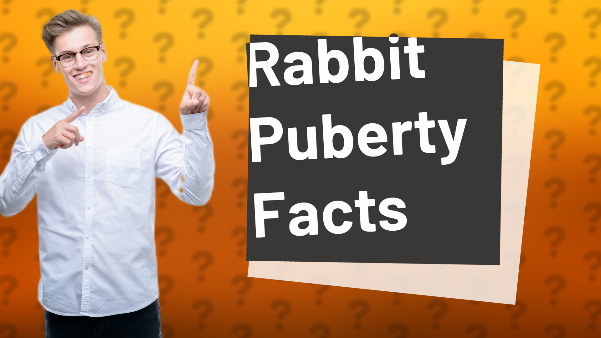 Rabbit Puberty Facts