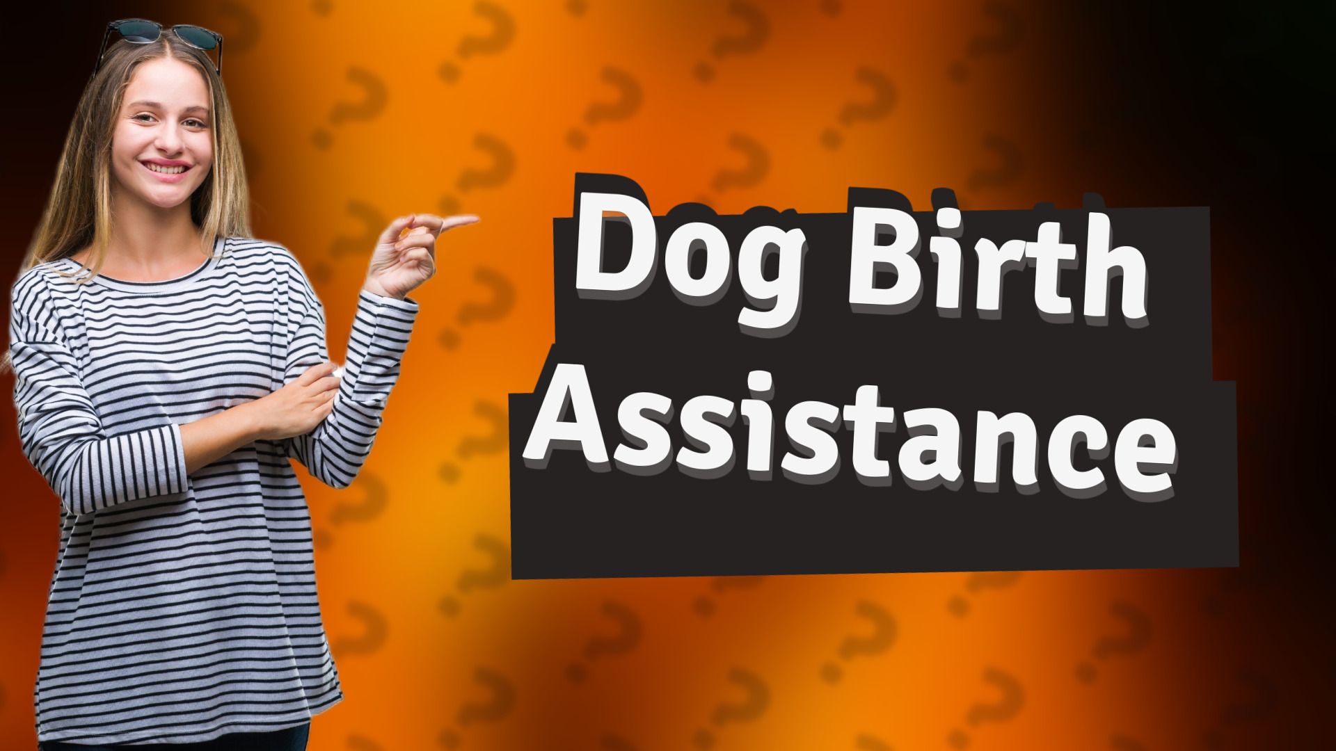 Dog Birth Assistance