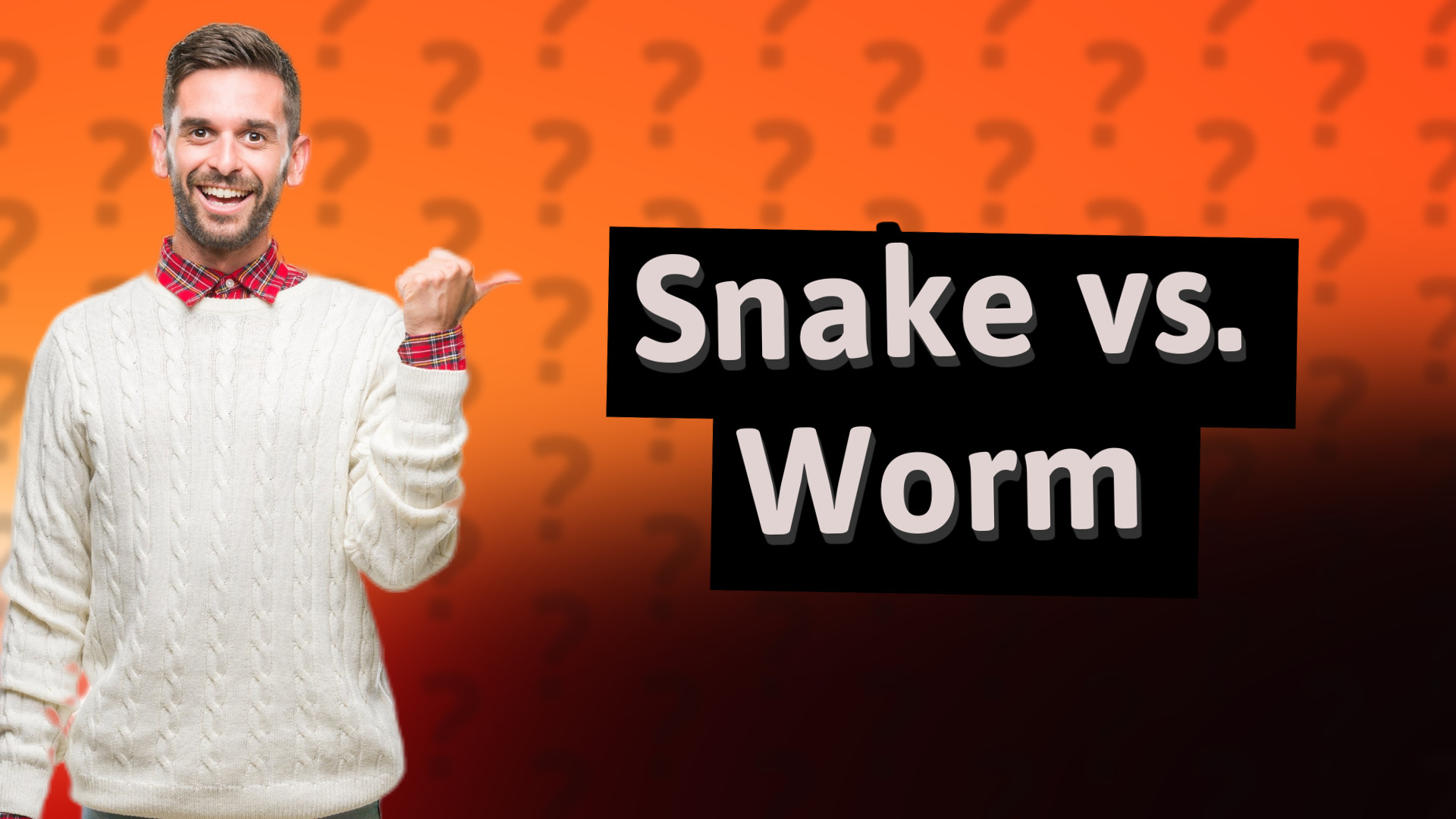 Snake vs. Worm