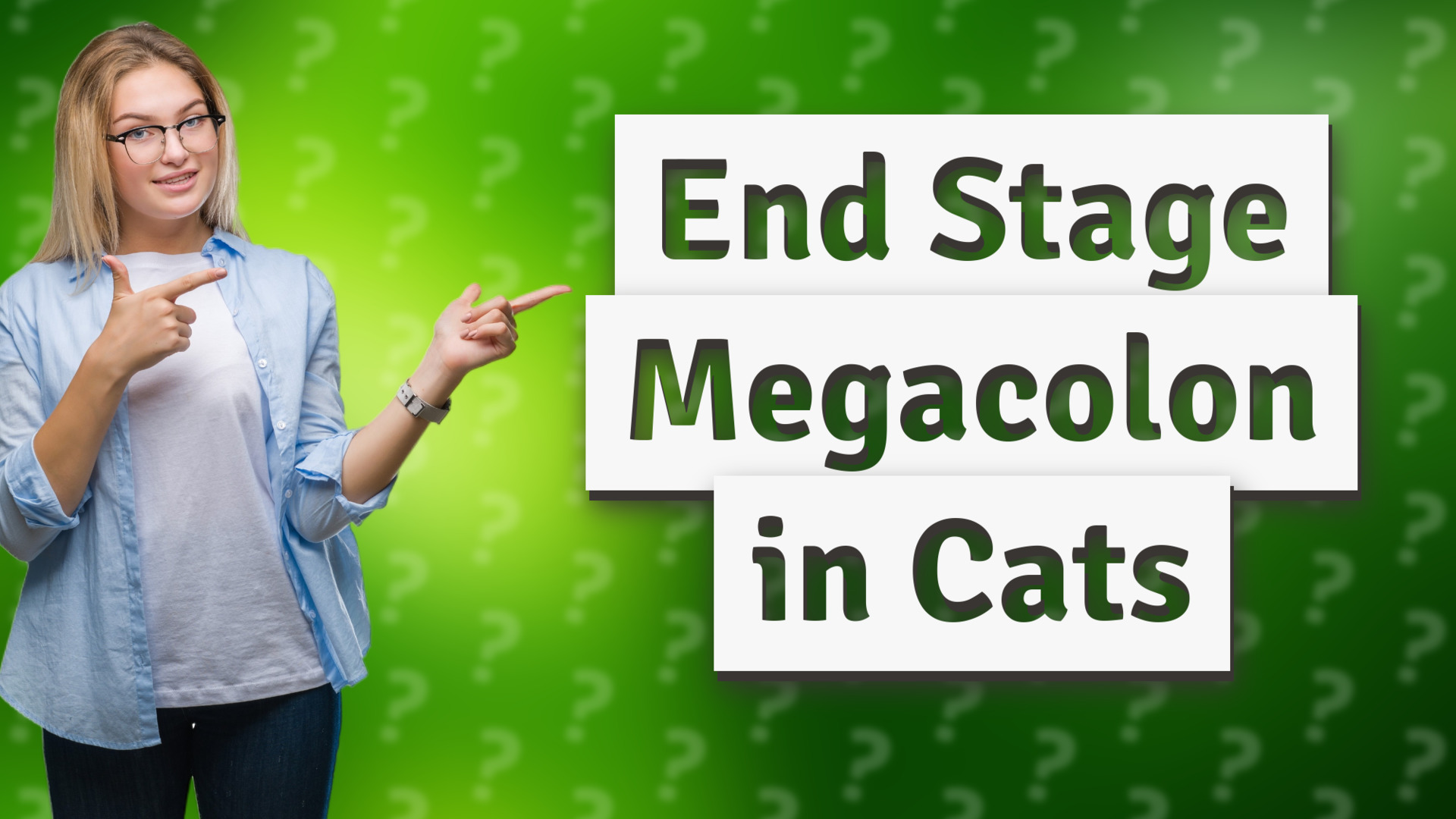 End Stage Megacolon in Cats