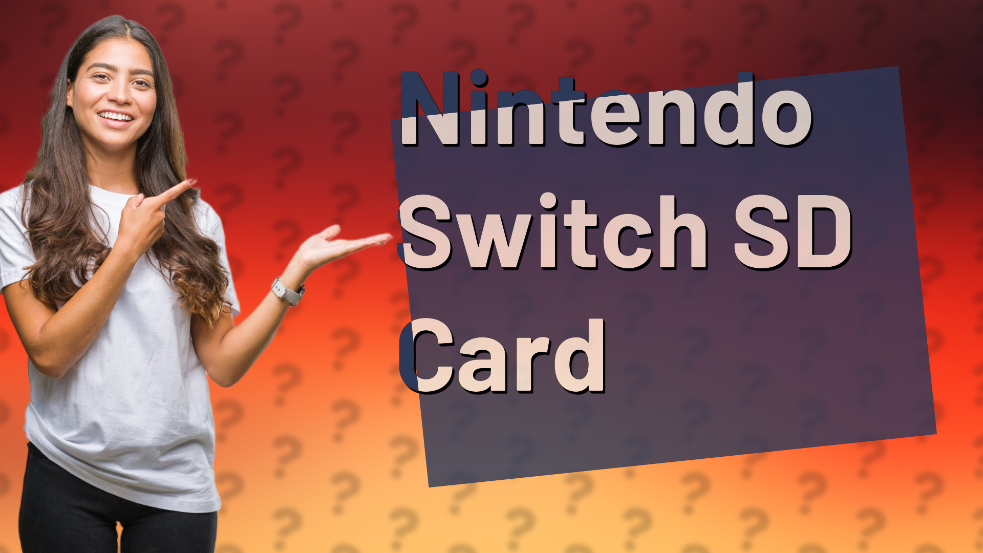 Nintendo Switch SD Card