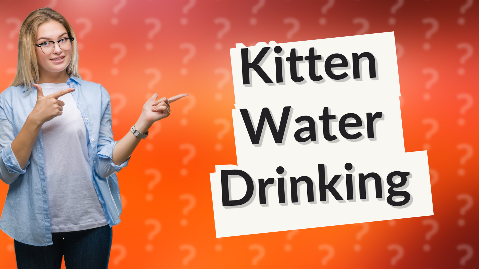 Kitten Water Drinking