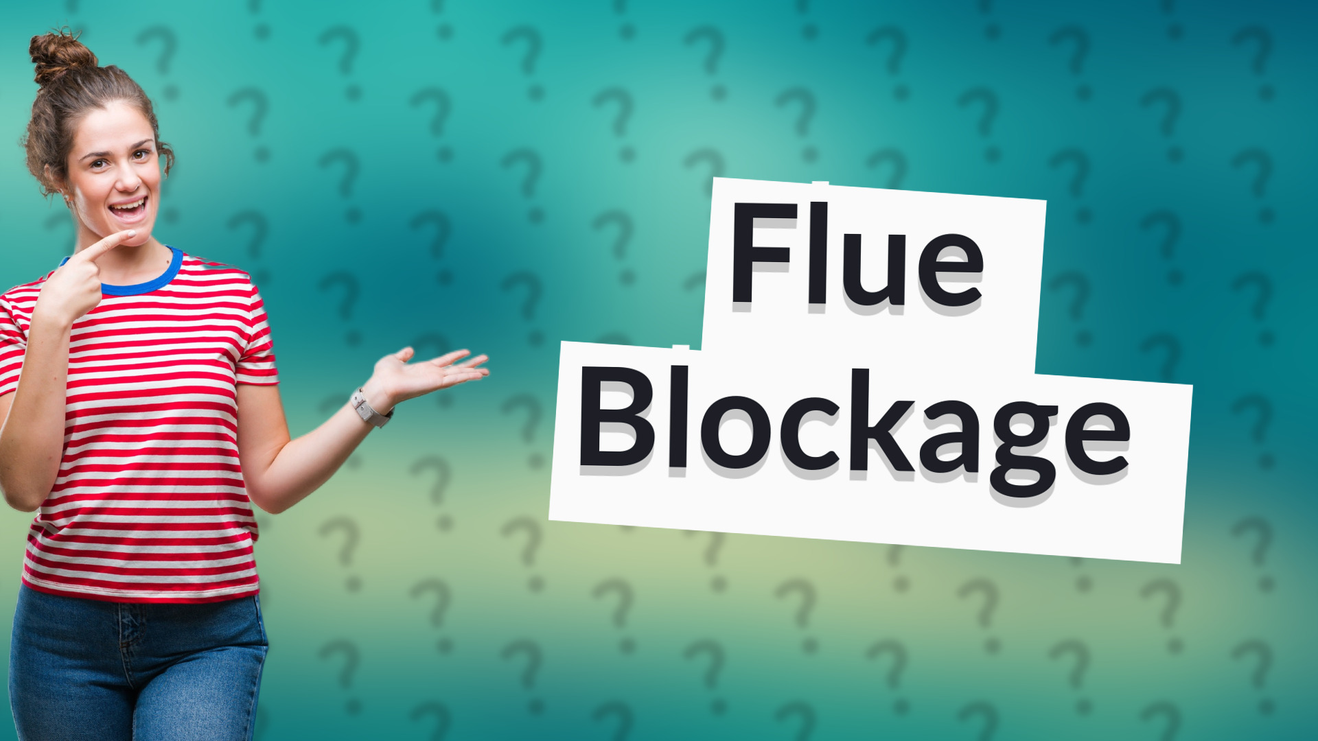 Flue Blockage