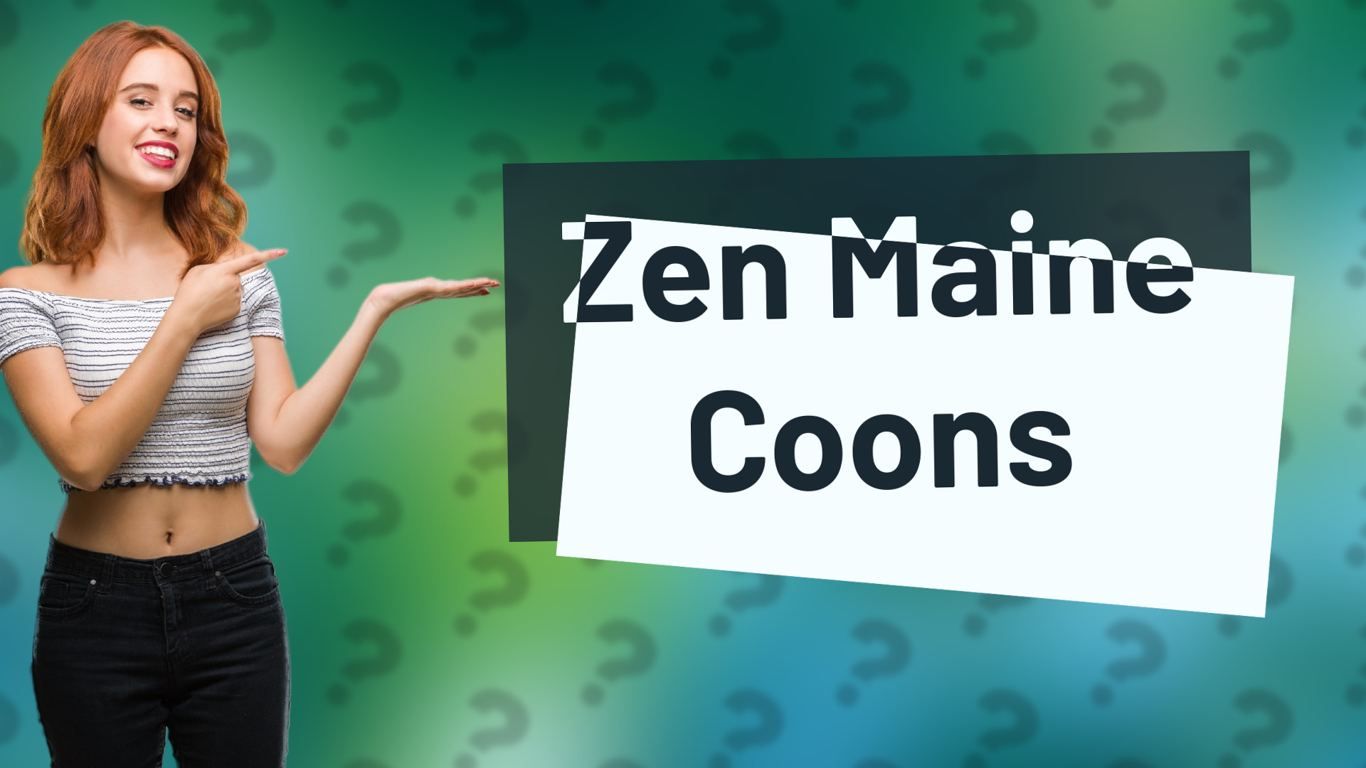 Zen Maine Coons