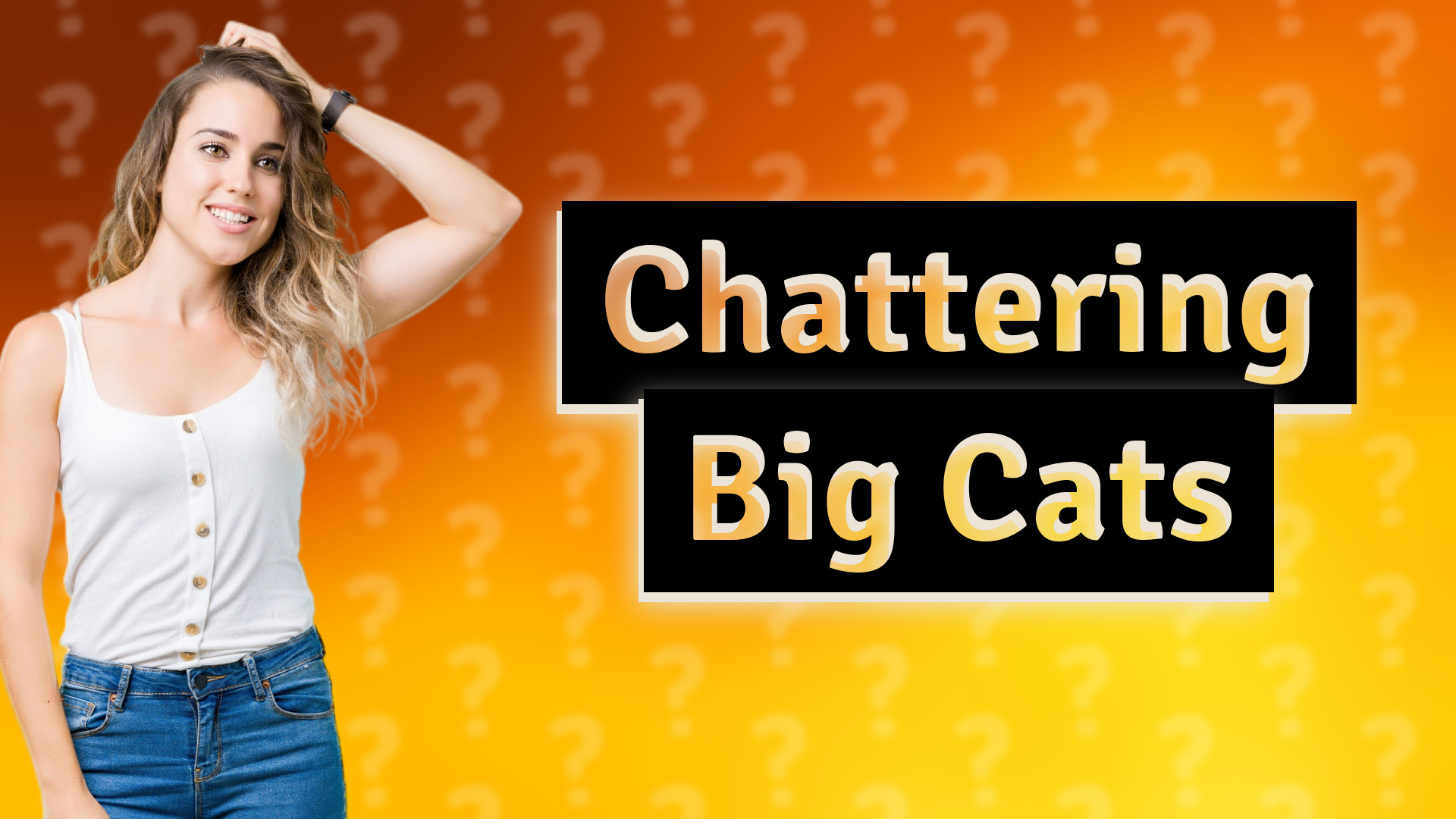 Chattering Big Cats