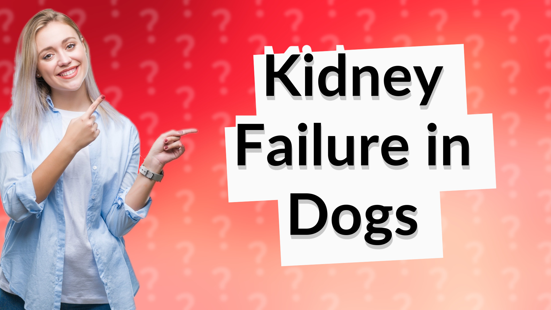 Kidney Failure in Dogs