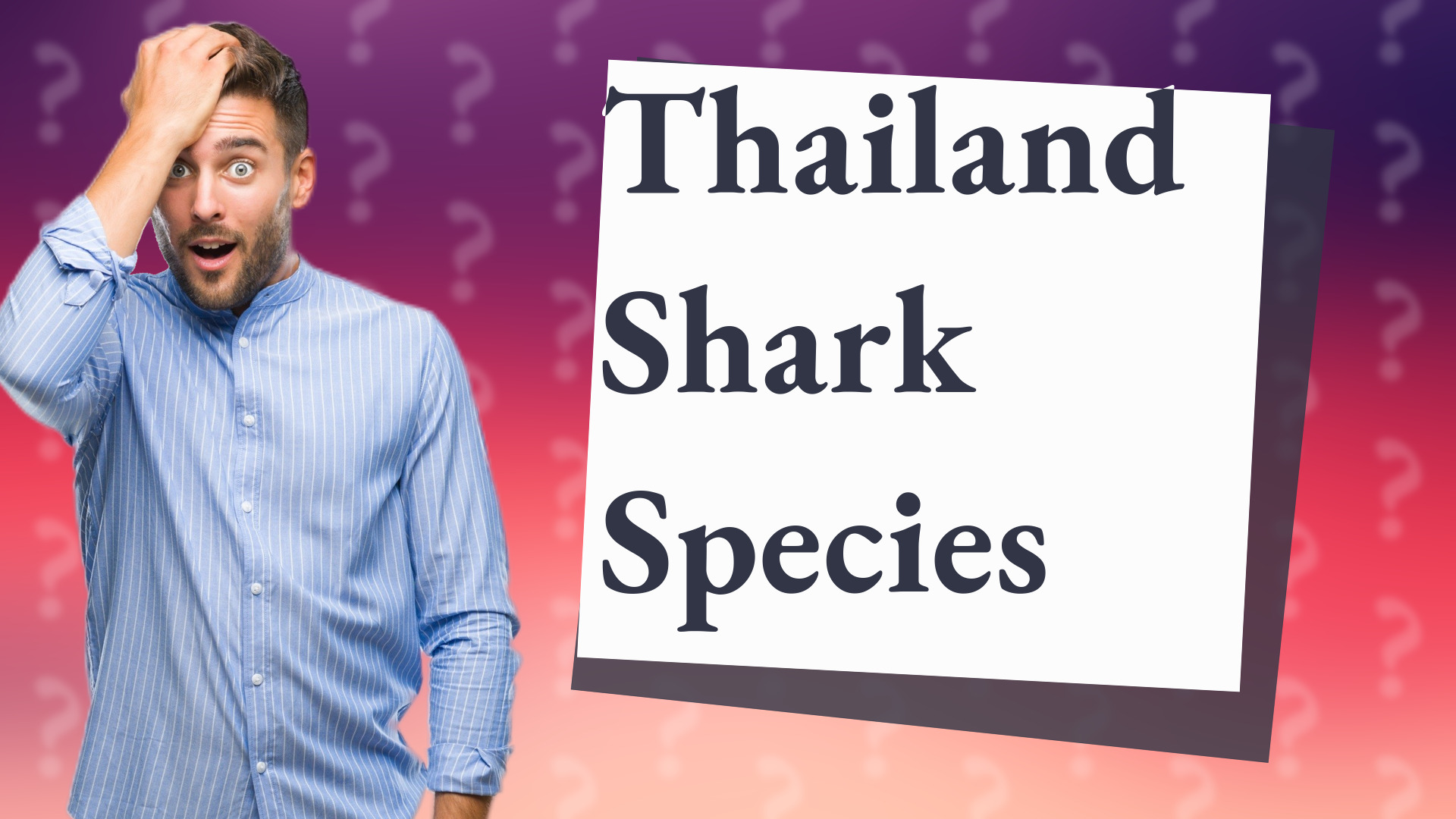 Thailand Shark Species