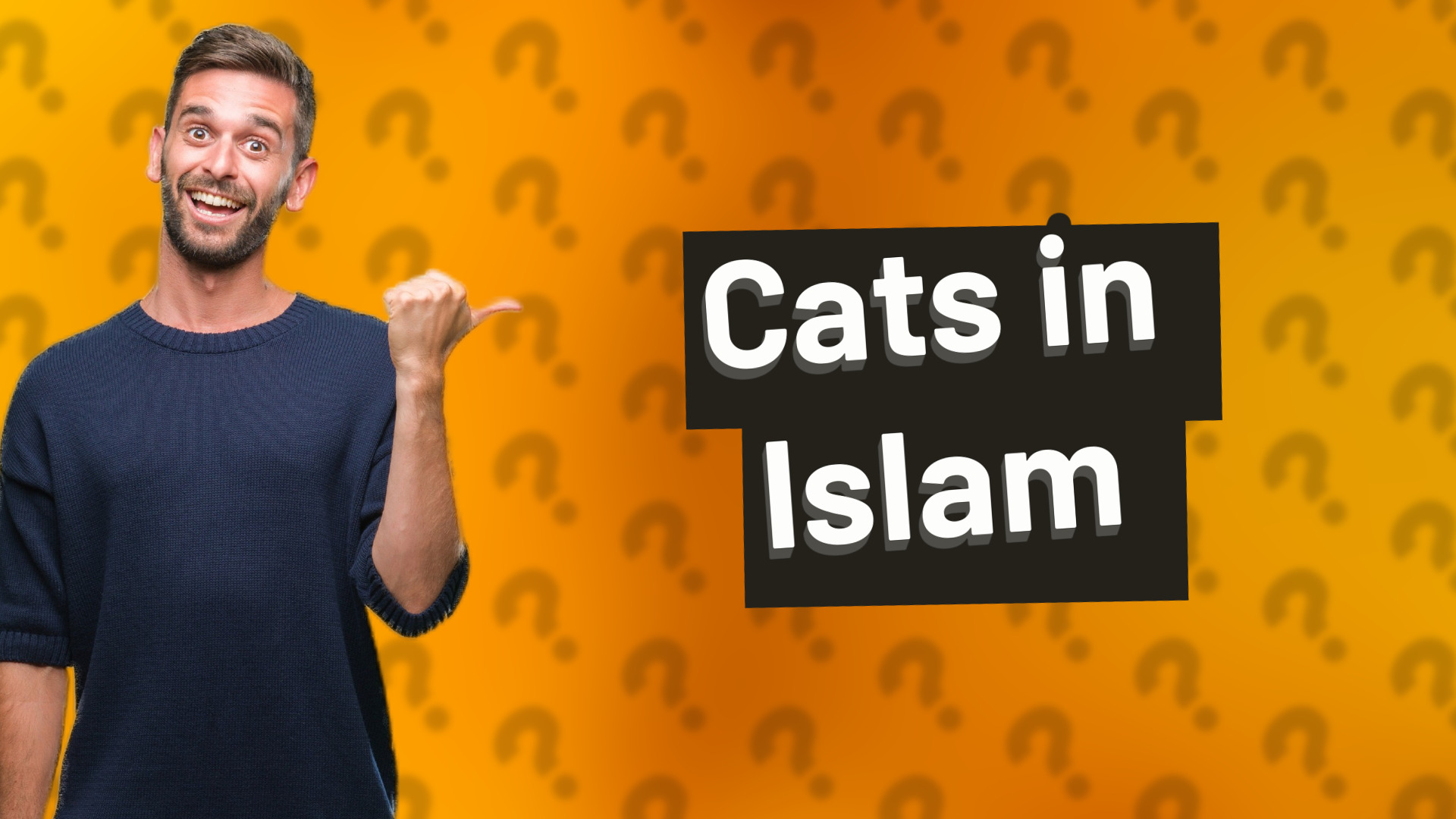 Cats in Islam