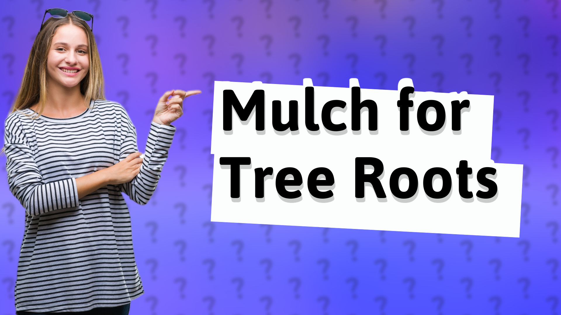 Mulch for Tree Roots