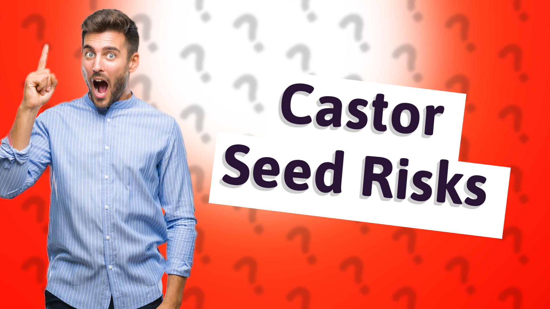 Castor Seed Risks