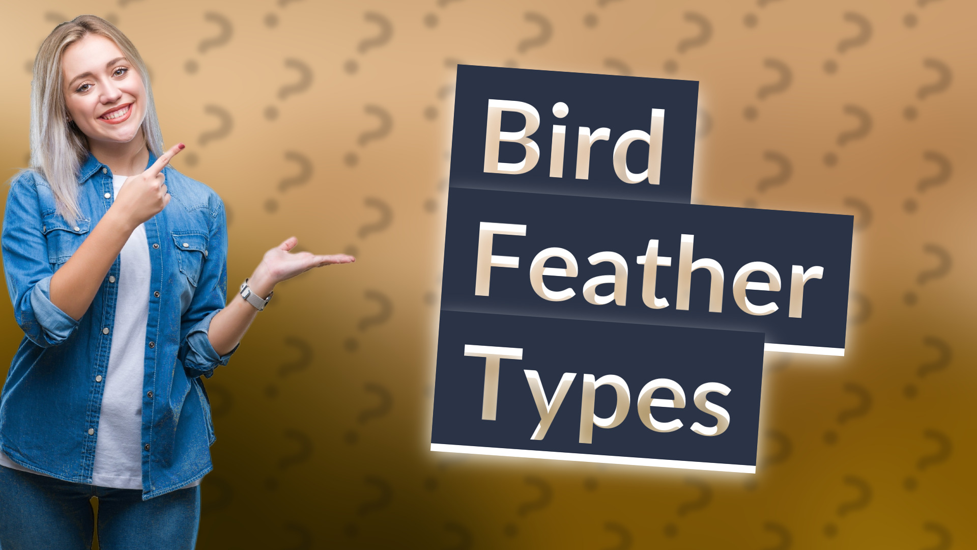 Bird Feather Types