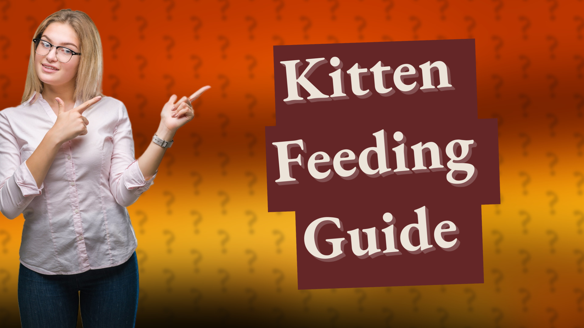 Kitten Feeding Guide