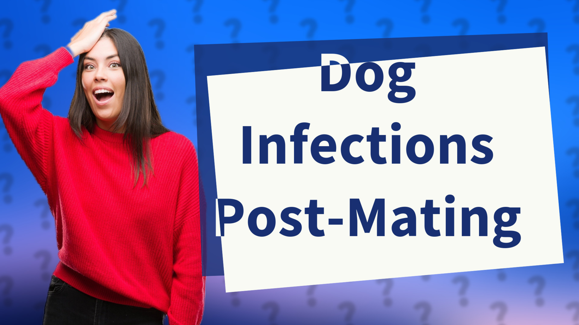 Dog Infections Post-Mating
