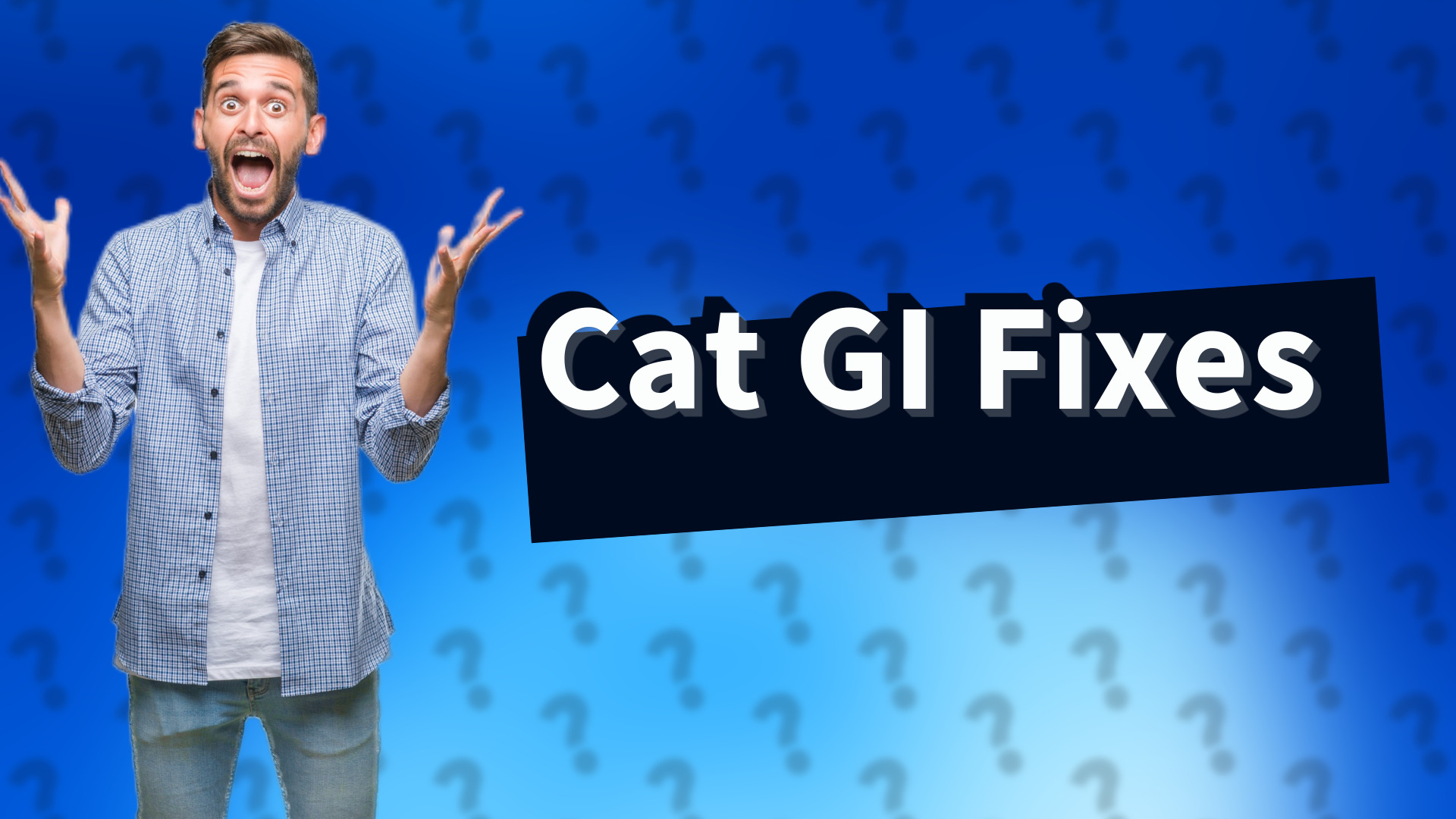 Cat GI Fixes