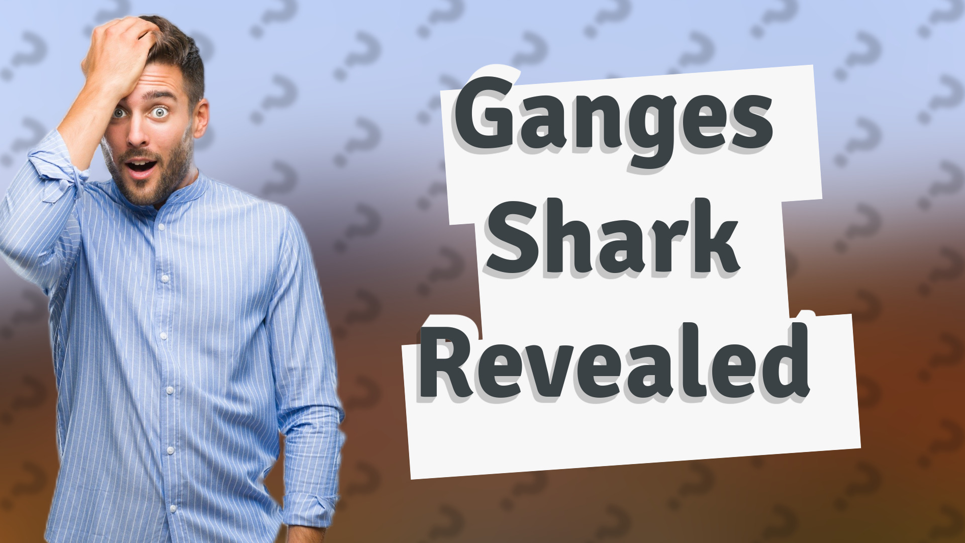 Ganges Shark Revealed