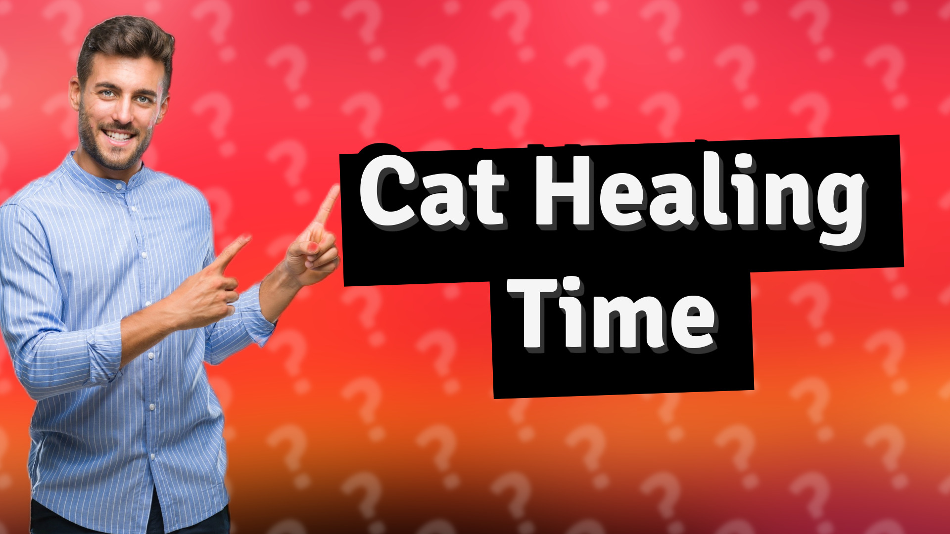 Cat Healing Time