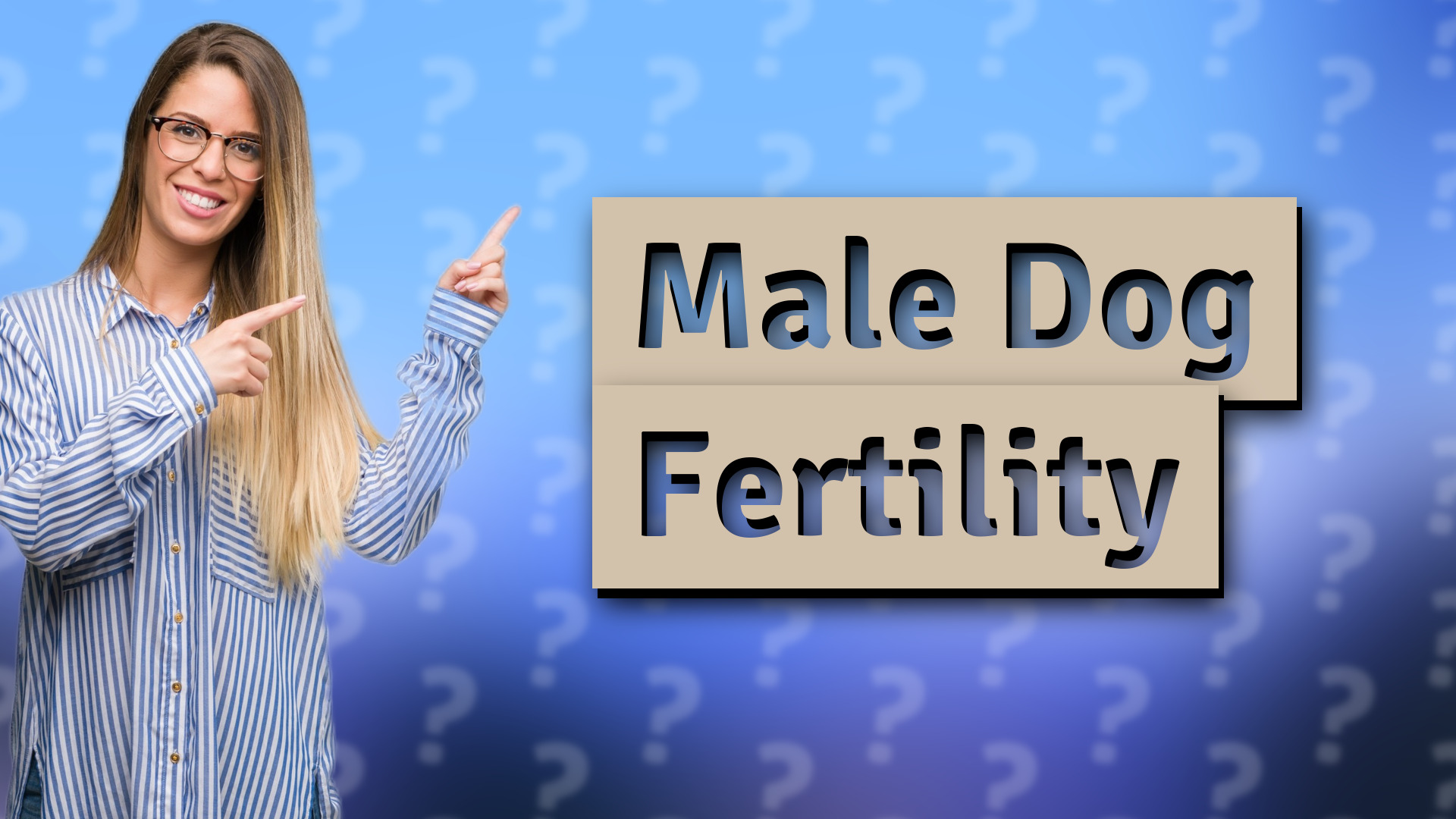 Male Dog Fertility