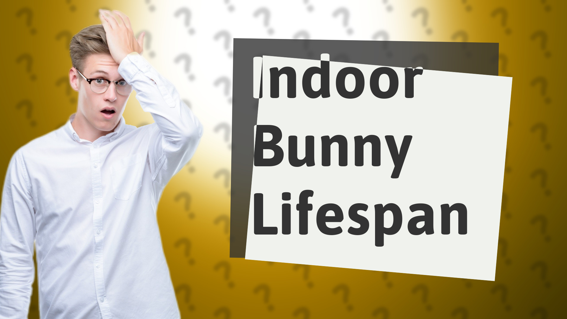 Indoor Bunny Lifespan