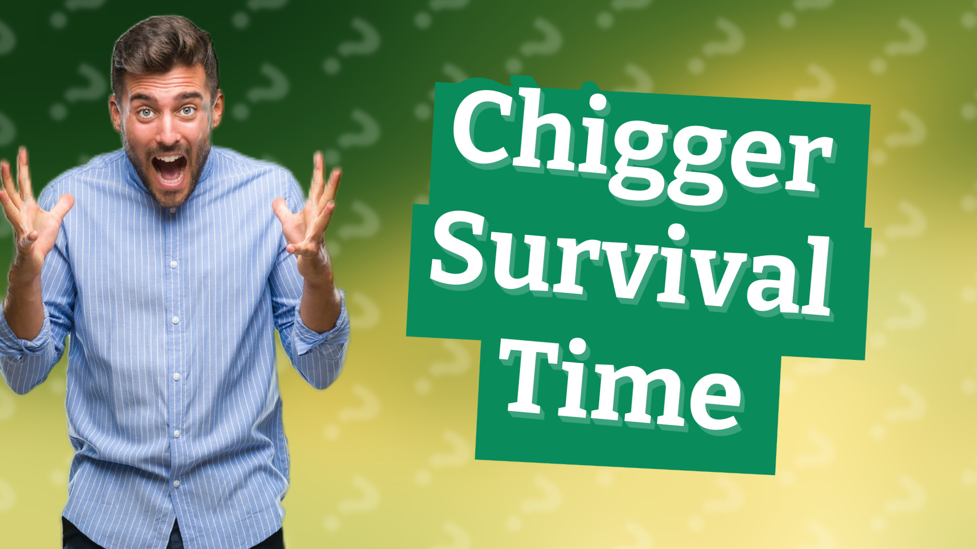 Chigger Survival Time