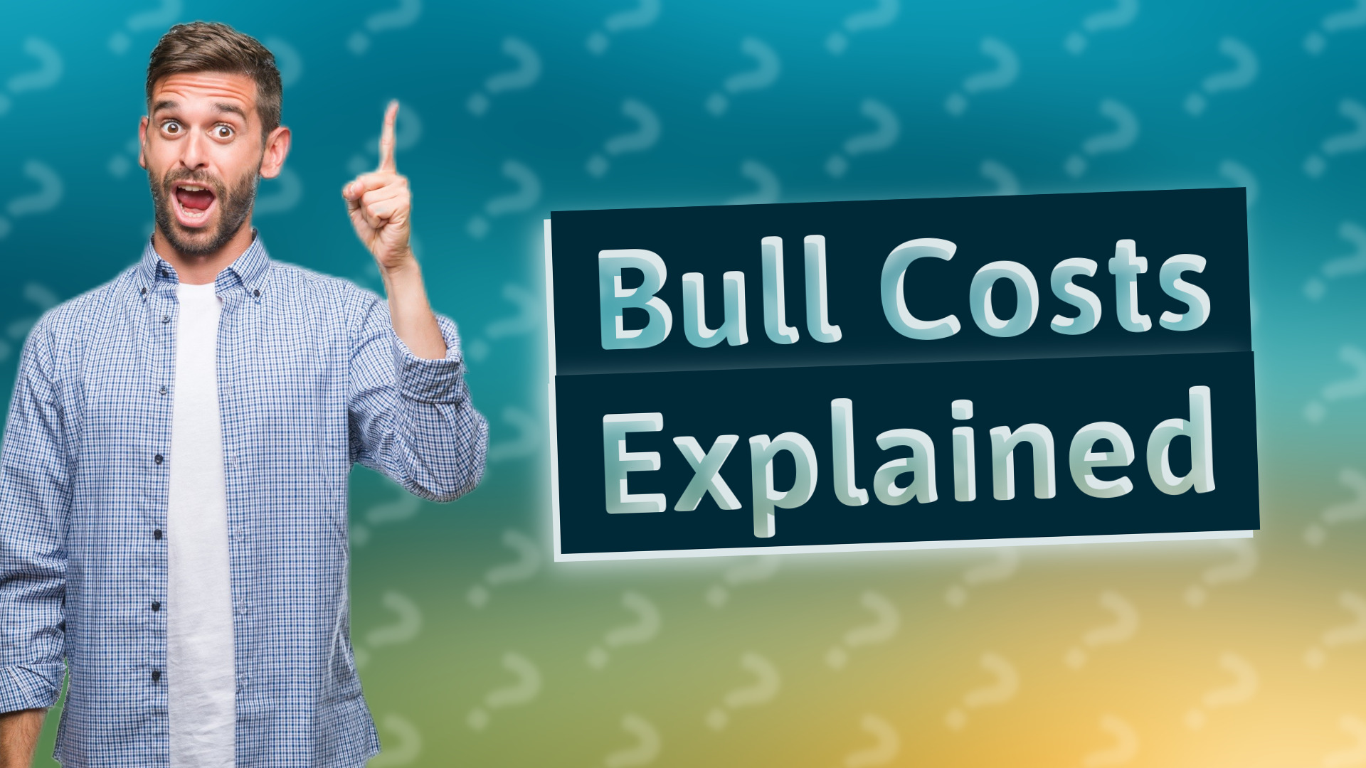 Bull Costs Explained