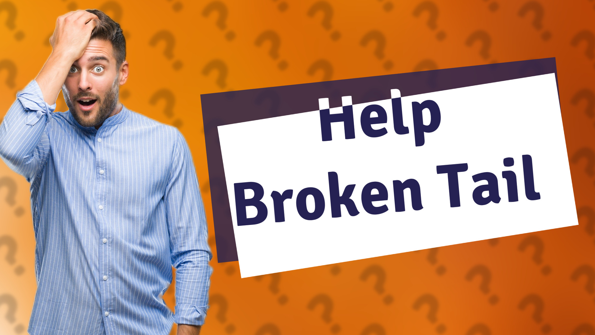 Help Broken Tail