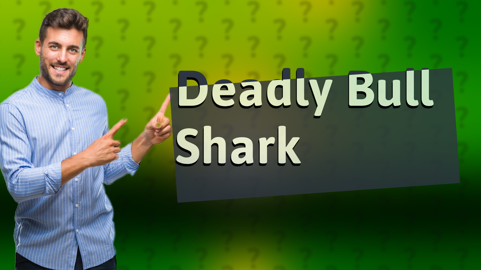 Deadly Bull Shark