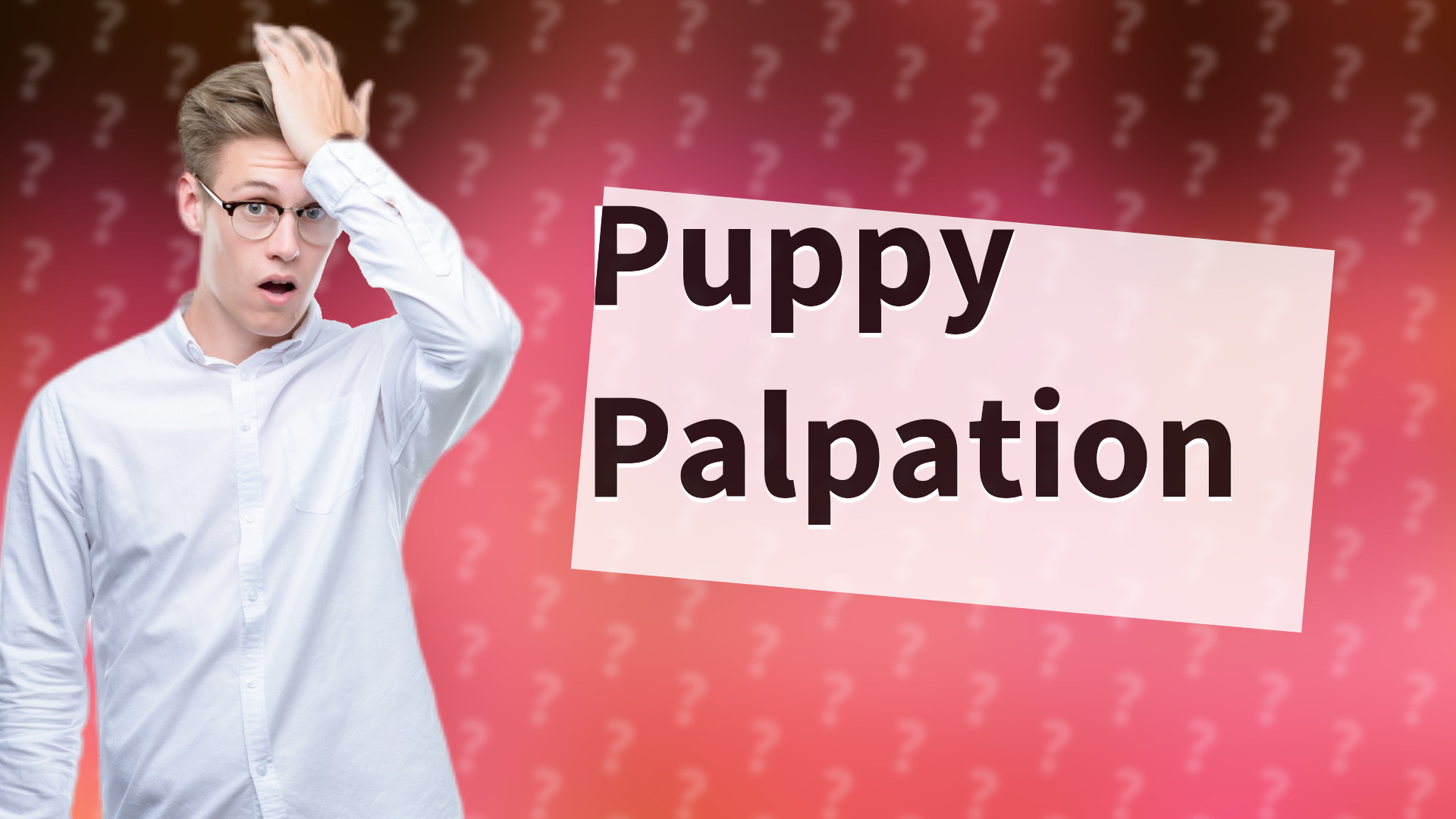 Puppy Palpation