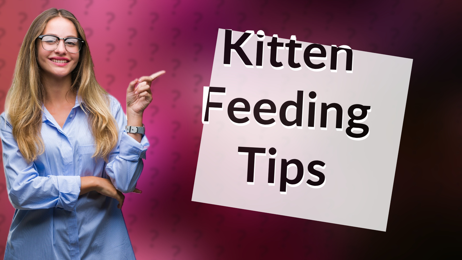 Kitten Feeding Tips