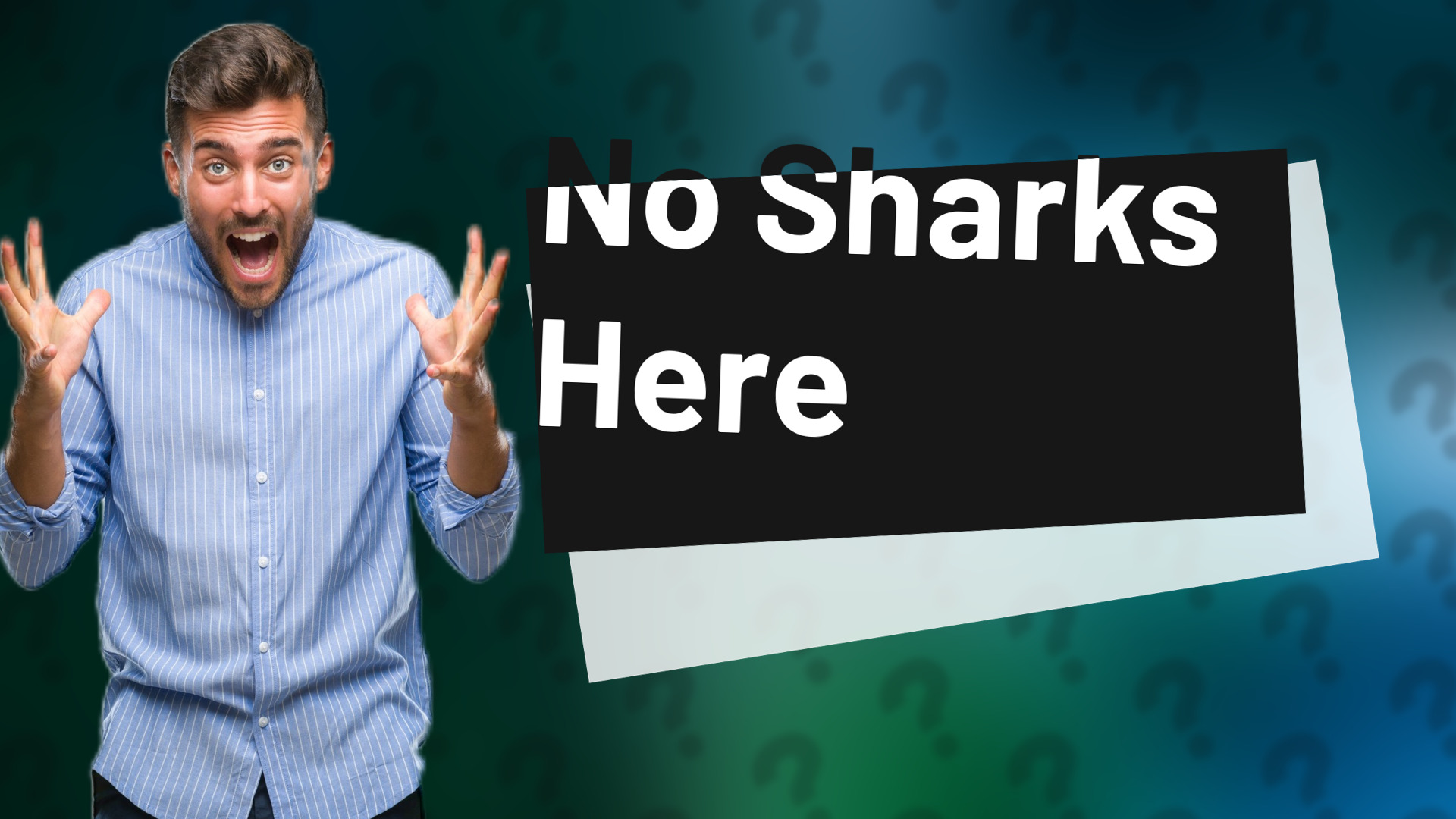 No Sharks Here