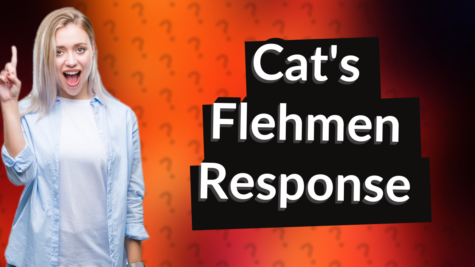 Cat's Flehmen Response