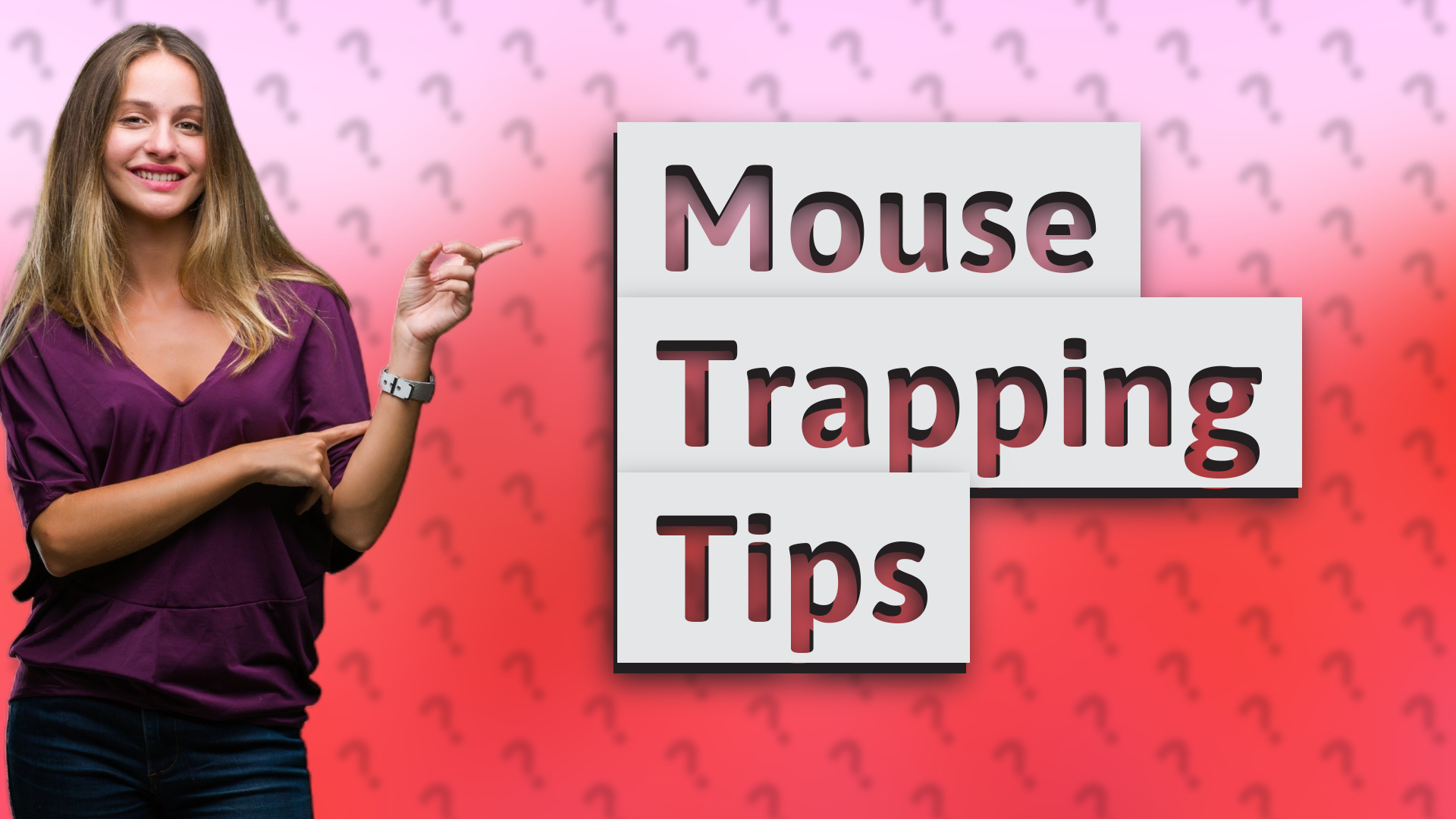 Mouse Trapping Tips