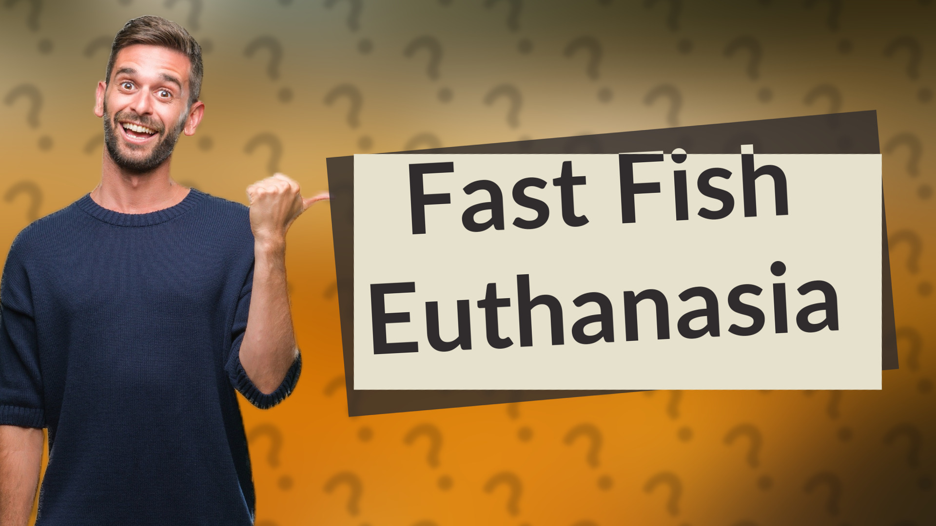 Fast Fish Euthanasia