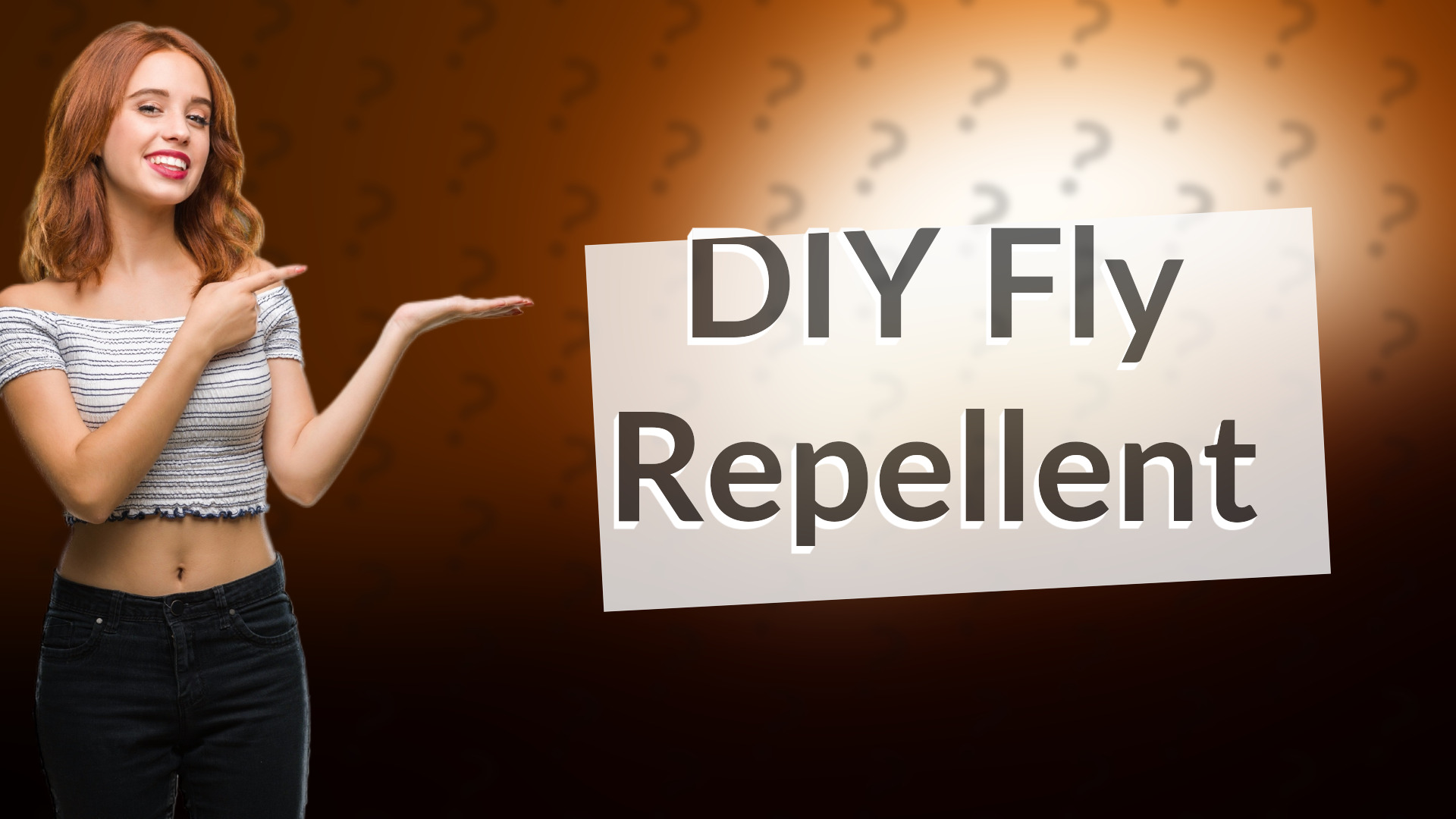 DIY Fly Repellent