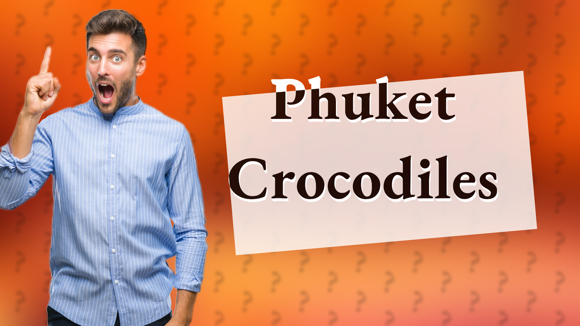 Phuket Crocodiles