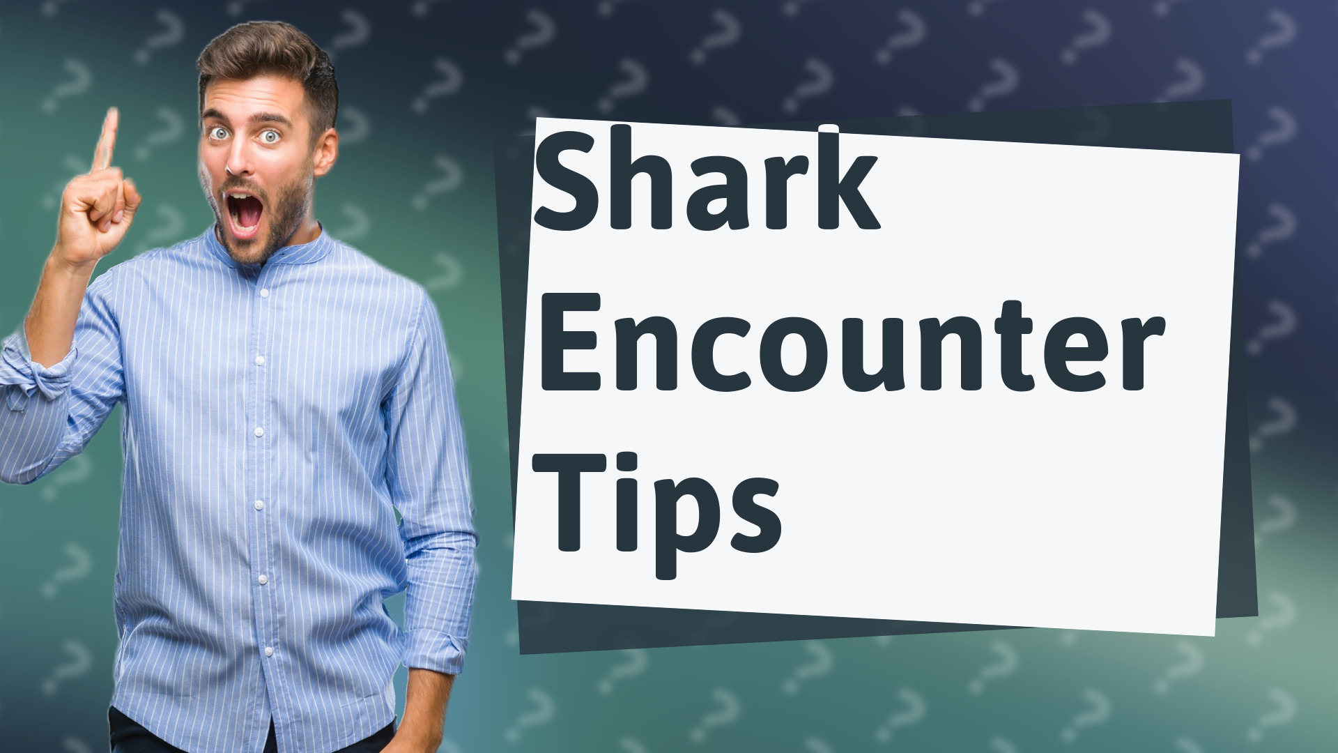 Shark Encounter Tips