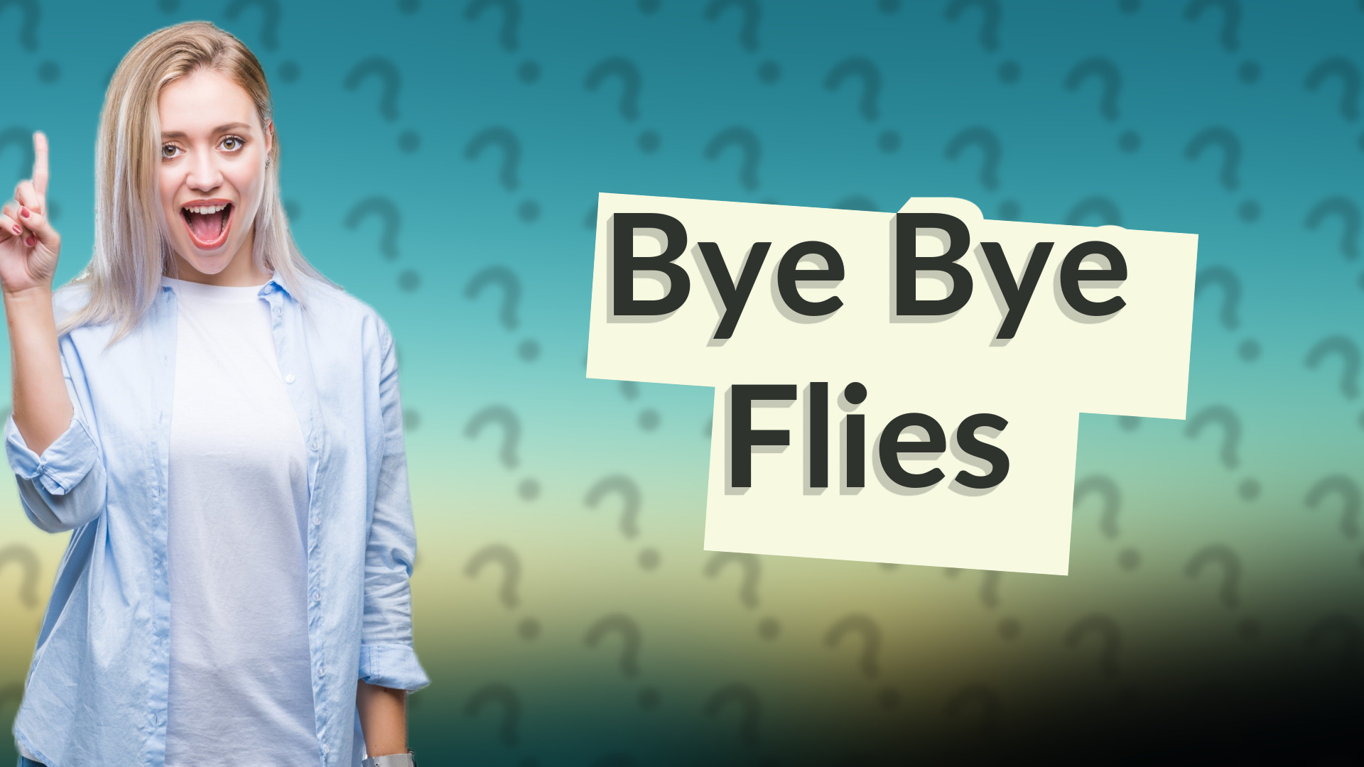Bye Bye Flies