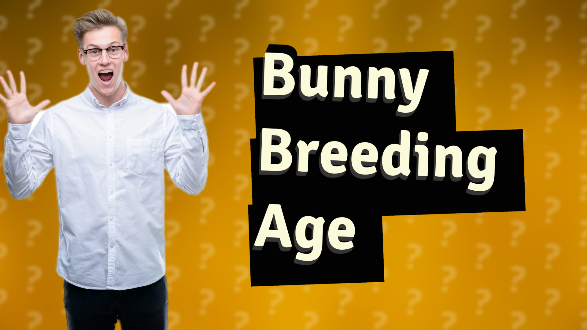 Bunny Breeding Age