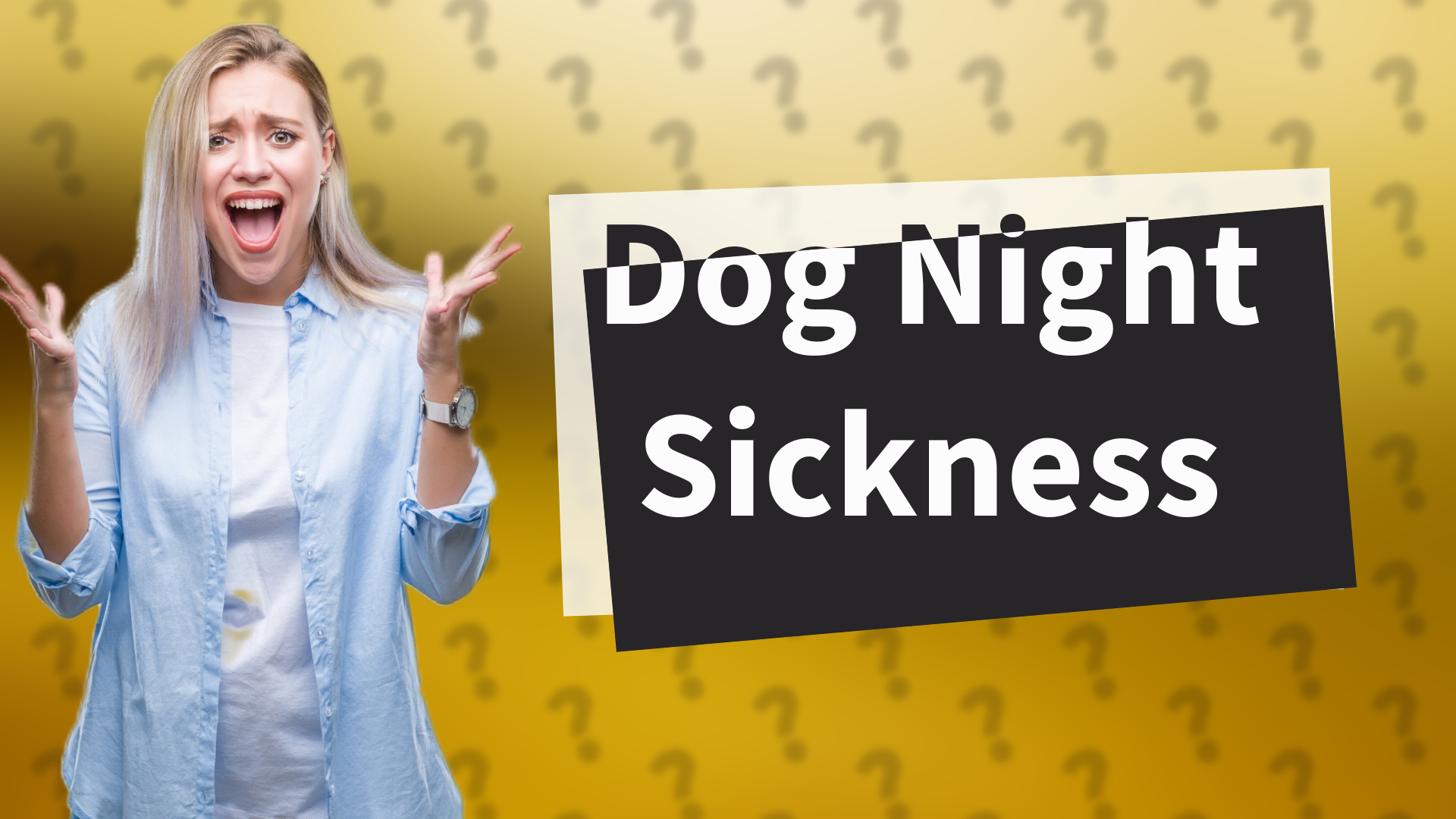 Dog Night Sickness