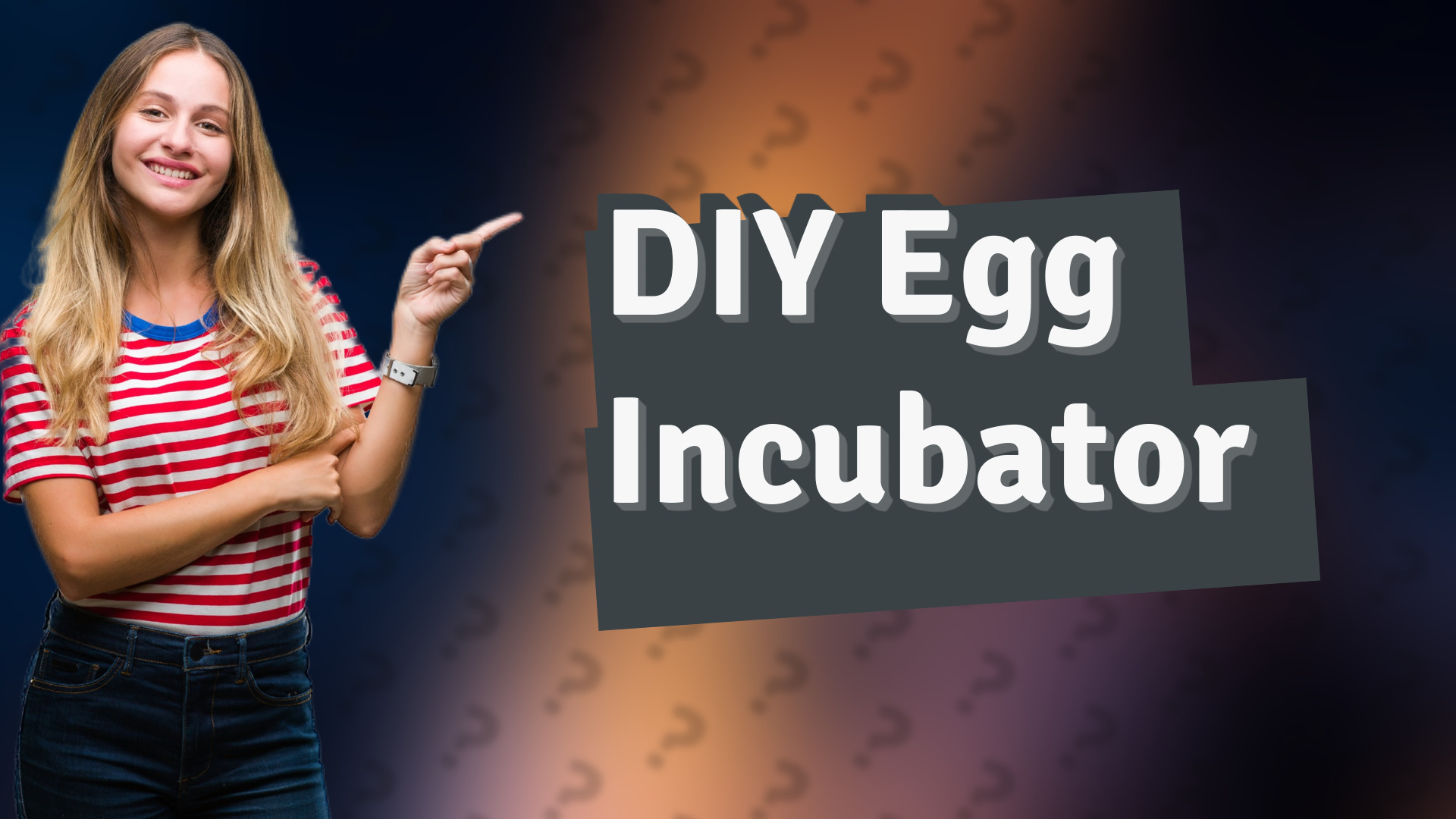 DIY Egg Incubator