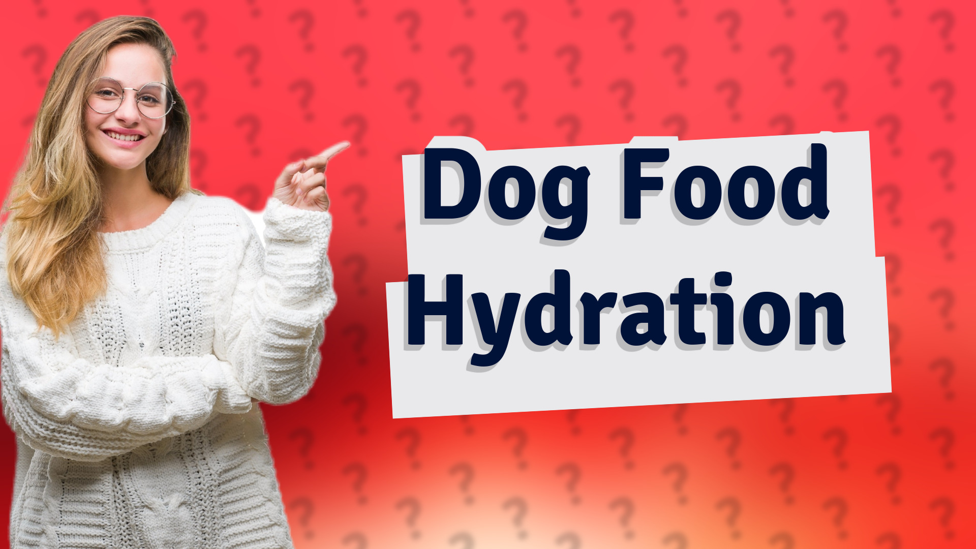 Dog Food Hydration