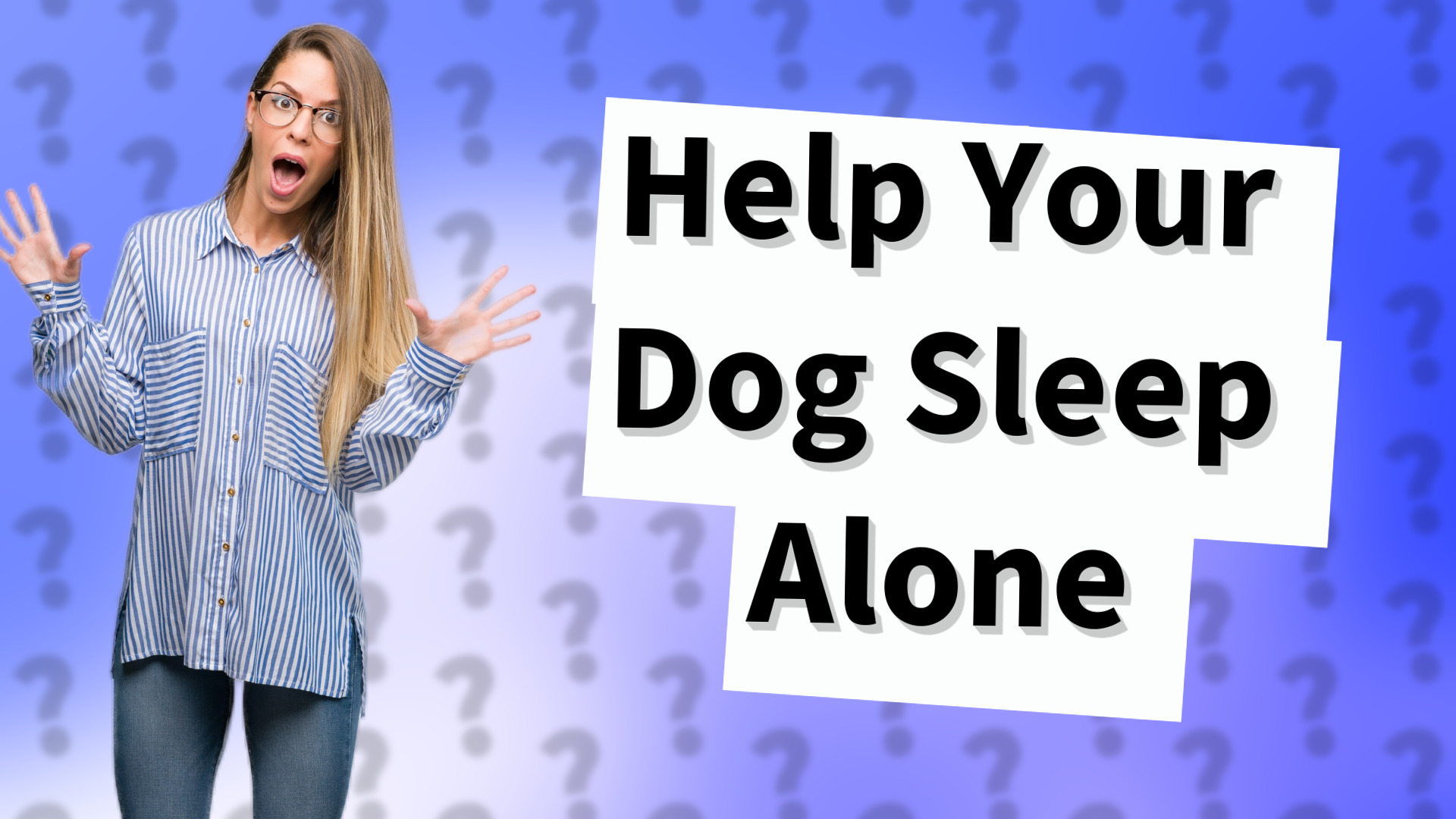 Help Your Dog Sleep Alone