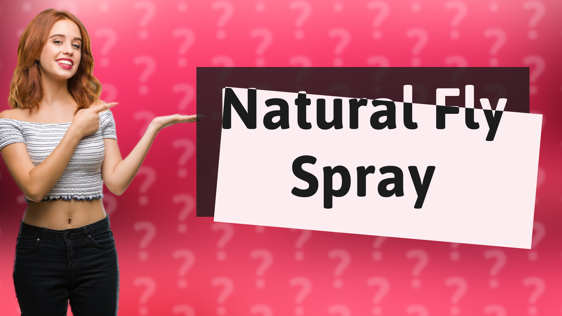 Natural Fly Spray