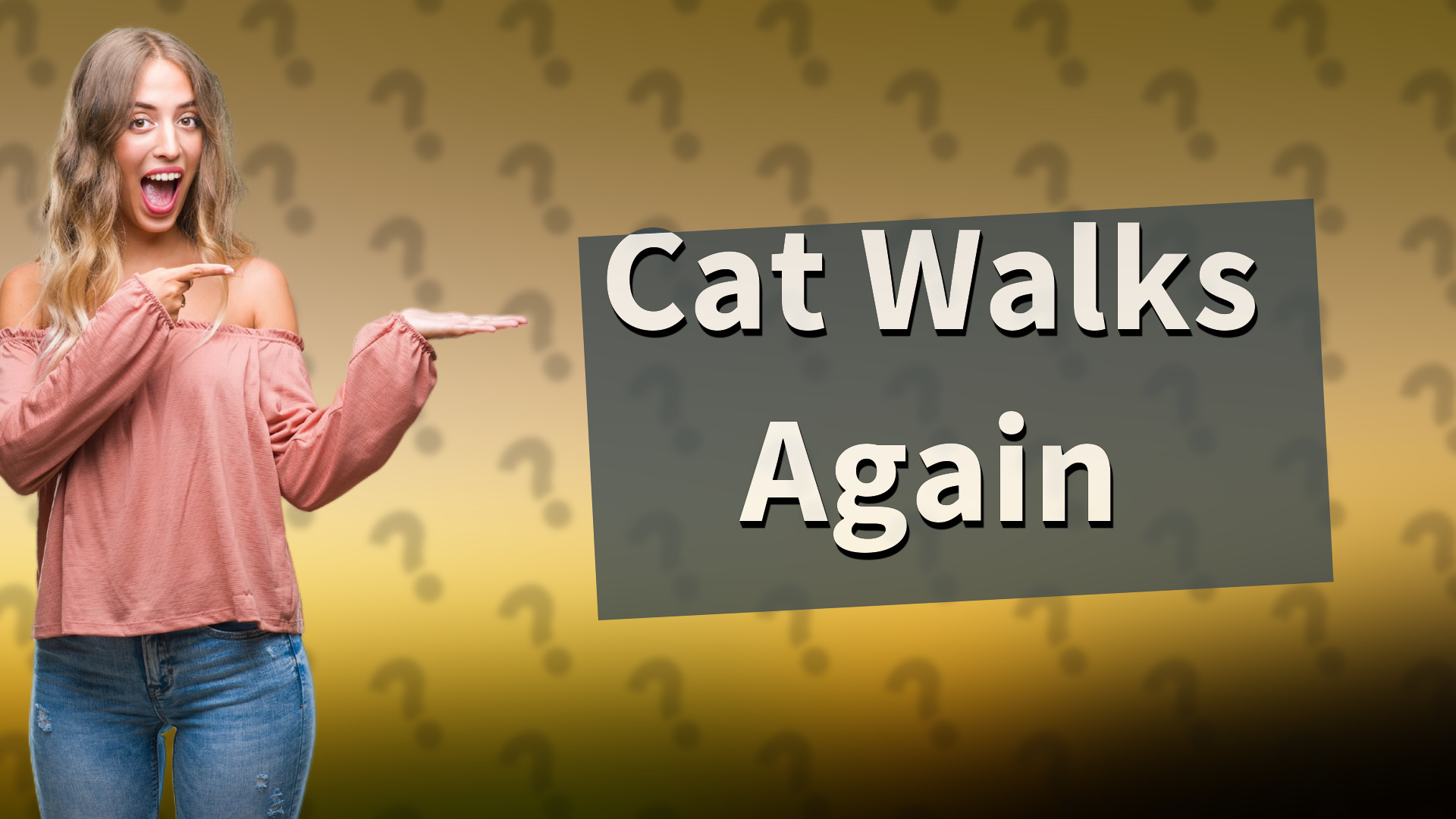 Cat Walks Again