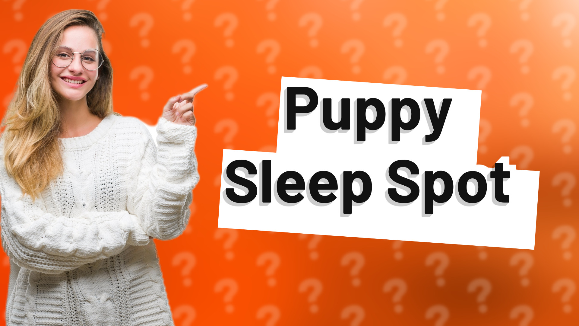 Puppy Sleep Spot