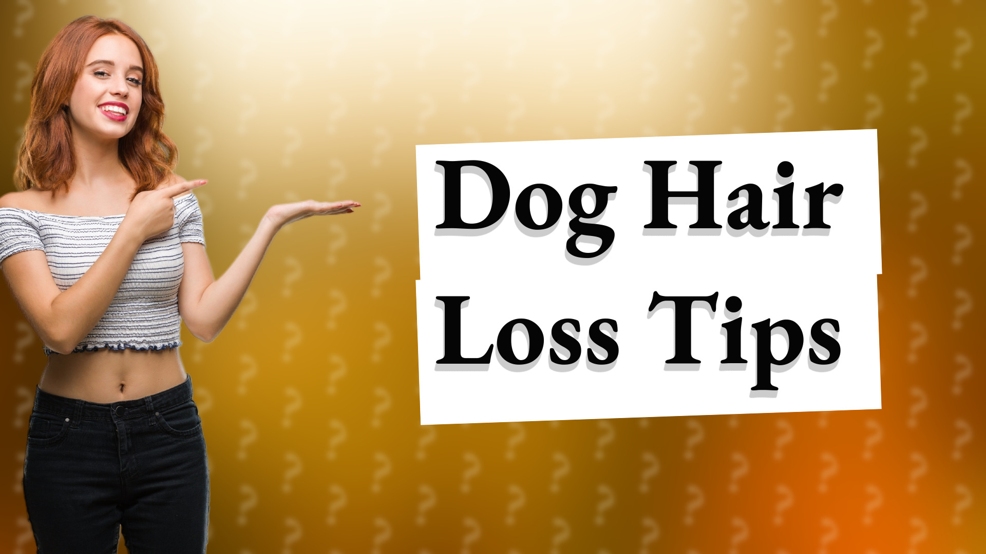 Dog Hair Loss Tips