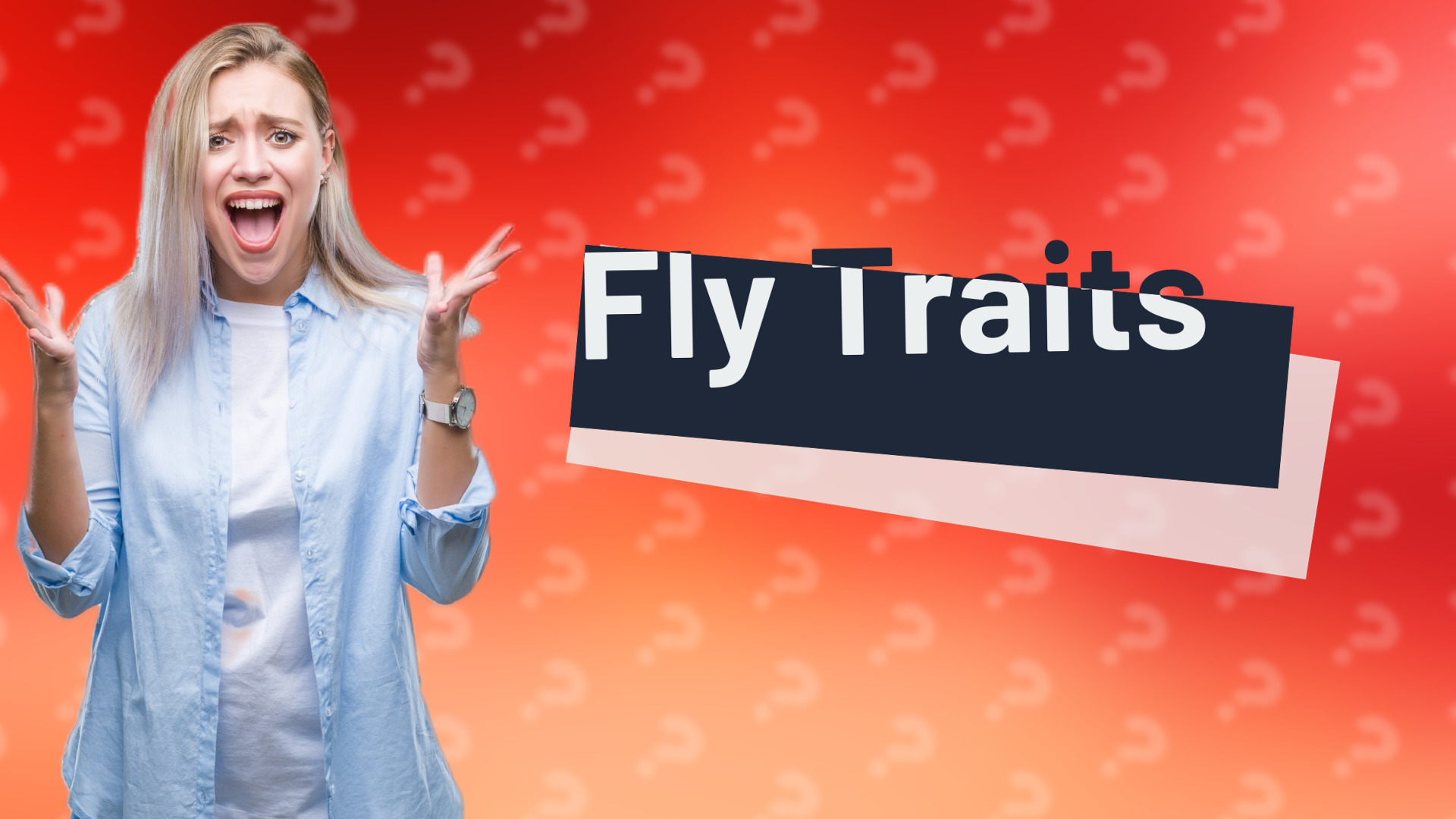 Fly Traits