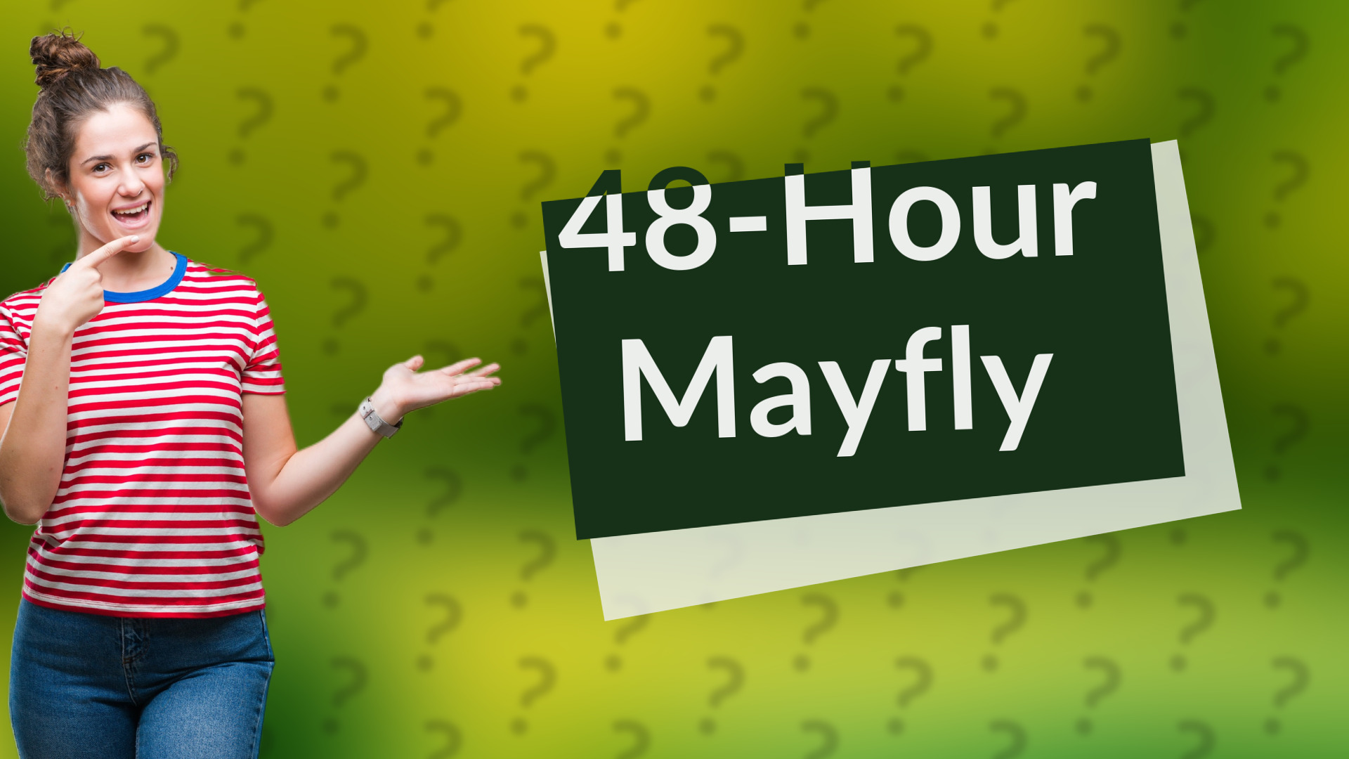 48-Hour Mayfly