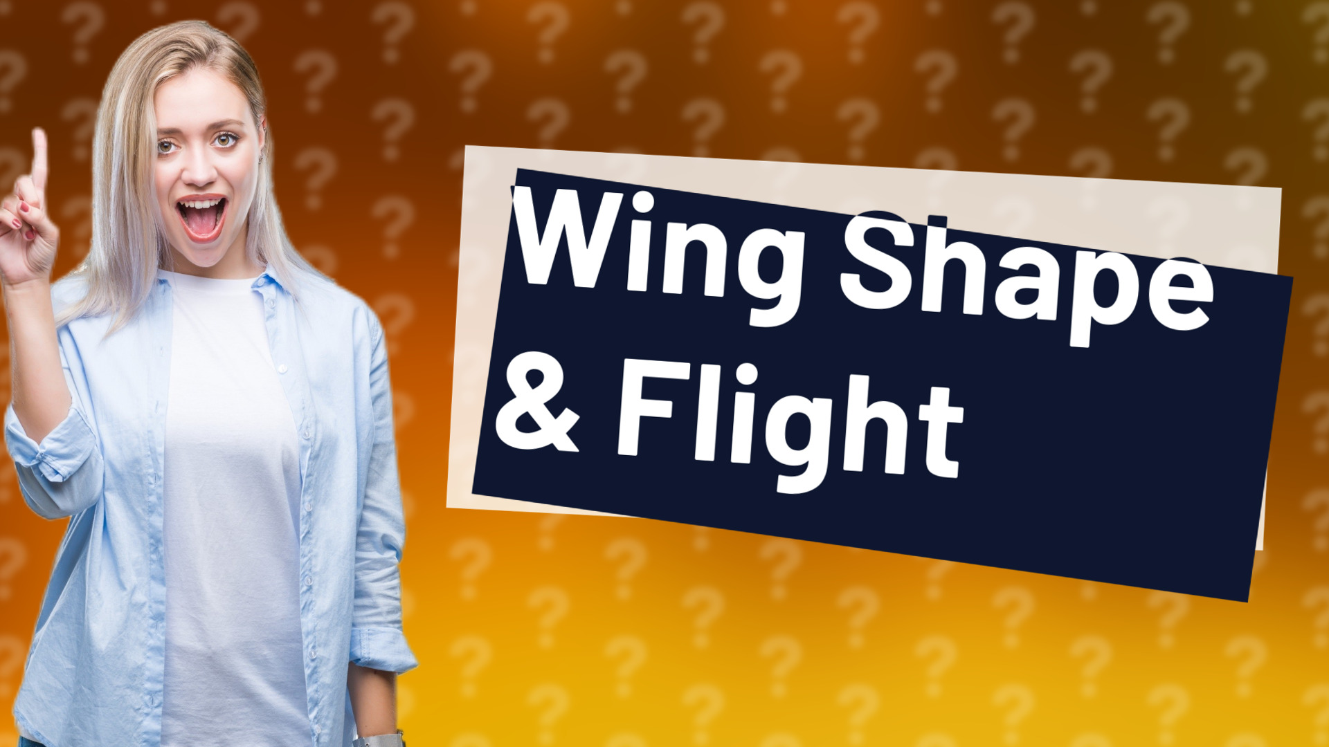 Wing Shape & Flight