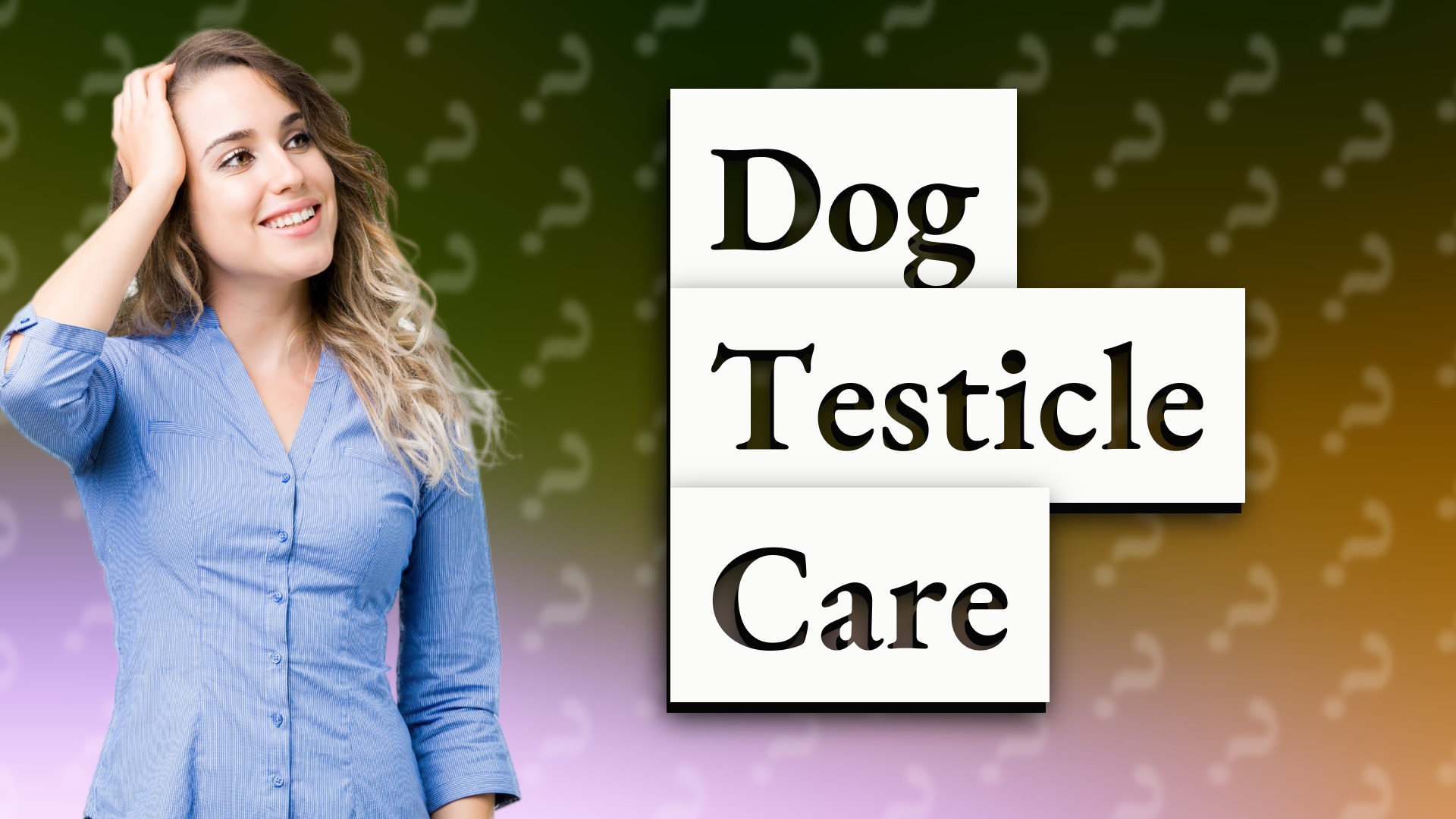 Dog Testicle Care
